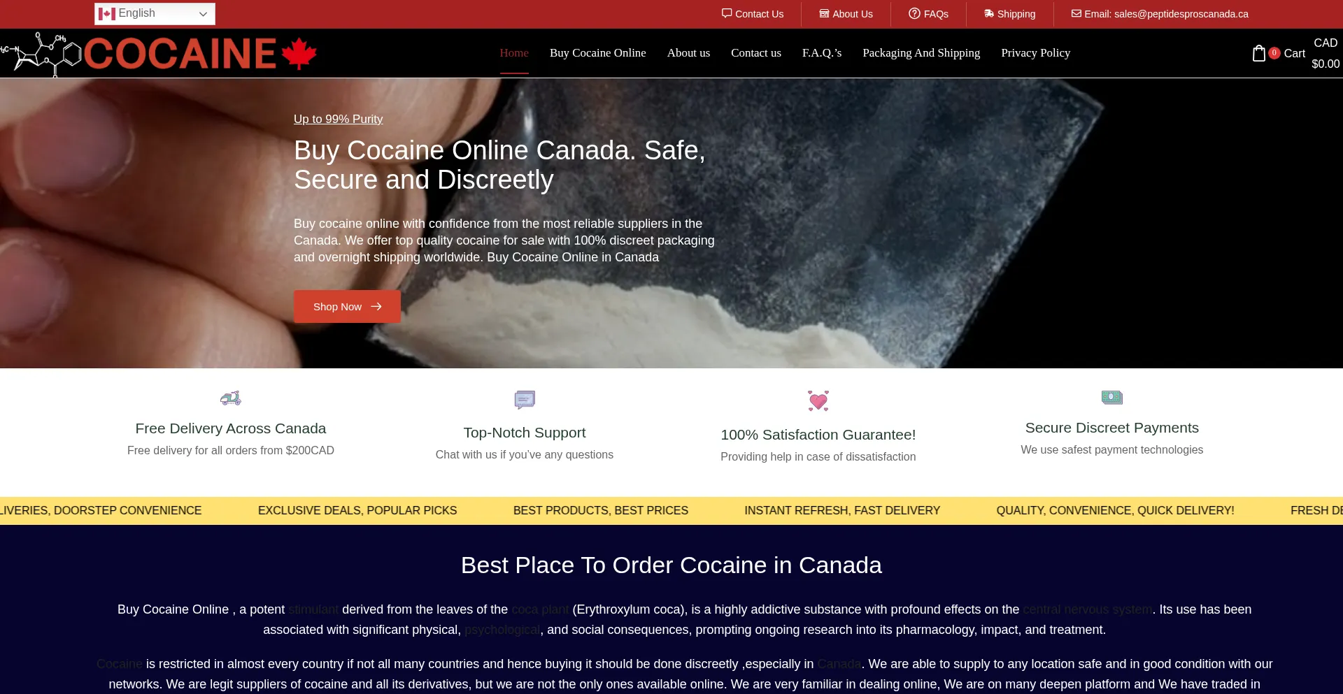 Buycocainecanada.ca
