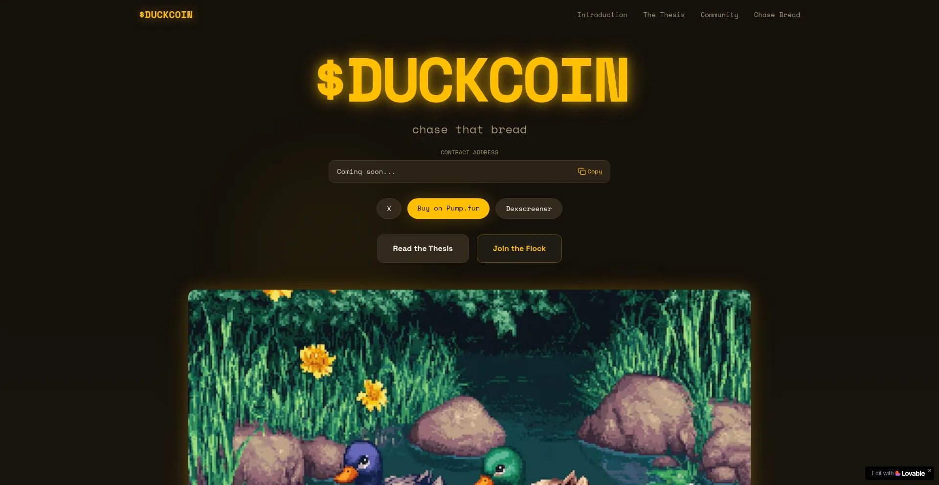 Buyduckcoin.xyz