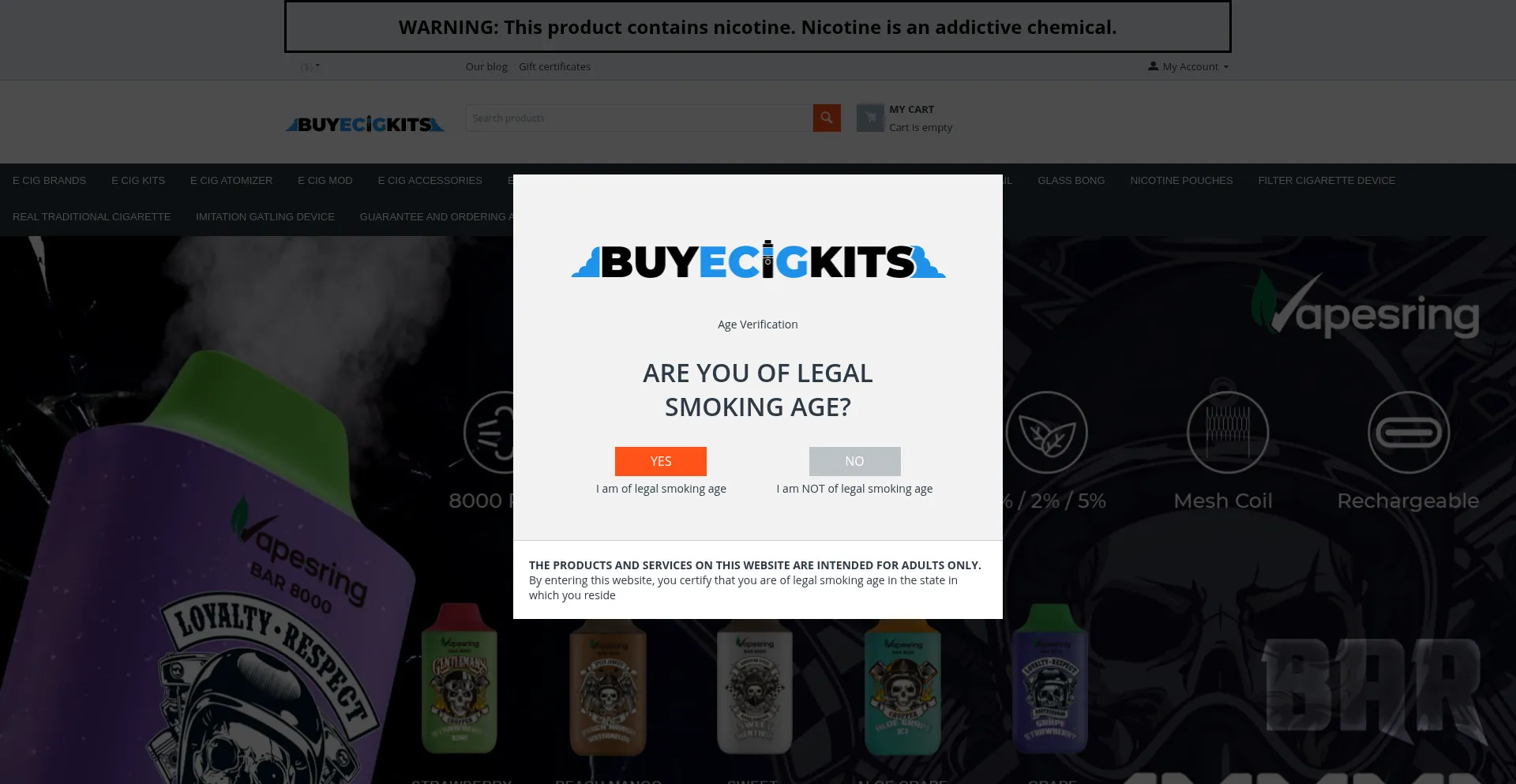 Website screenshot of Buyecigkits.com