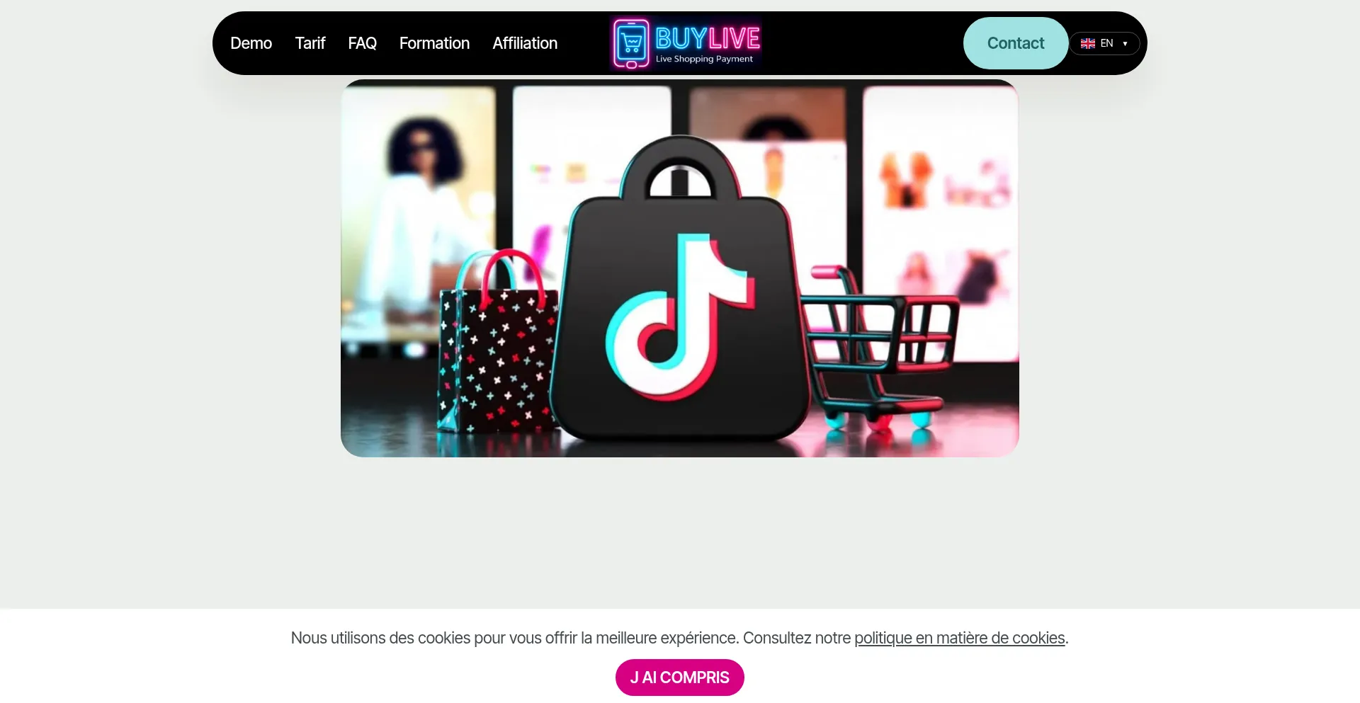 Is Buylive.fr Safe?