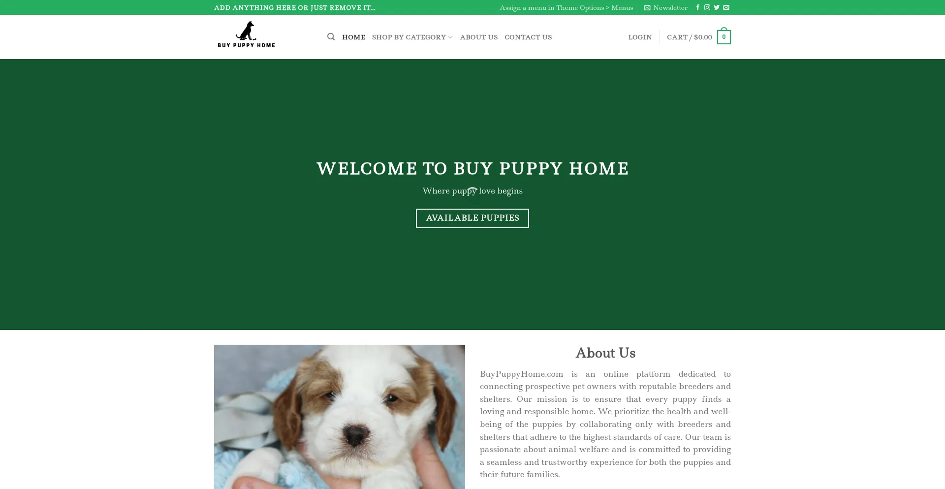 Website screenshot of Buypuppyhome.com