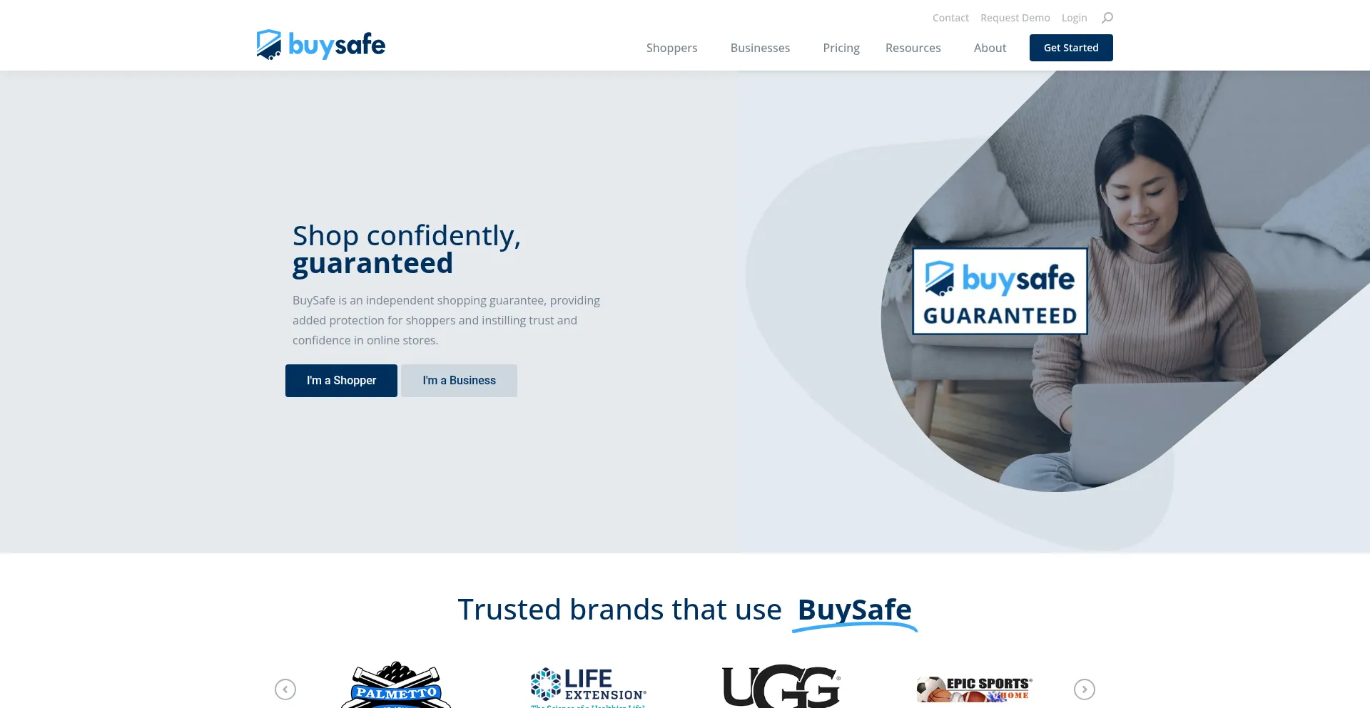 Website screenshot of Buysafe.com