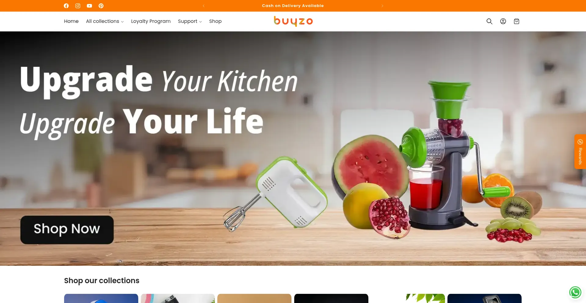 Is Buyzo.in Safe?