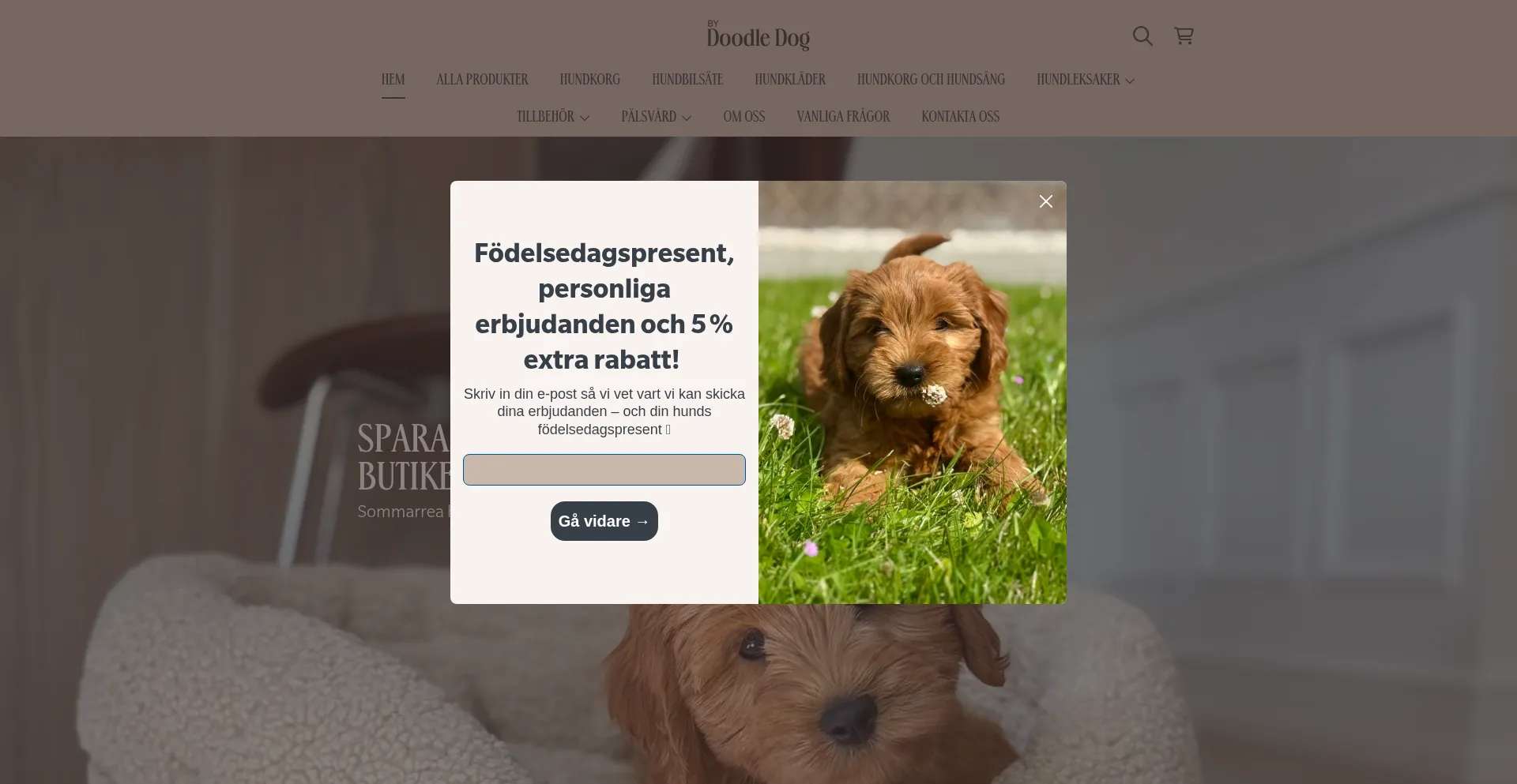 Website screenshot of Bydoodledog.se