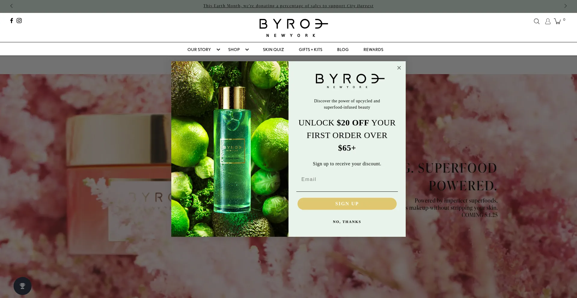 Website screenshot of Byroe.com