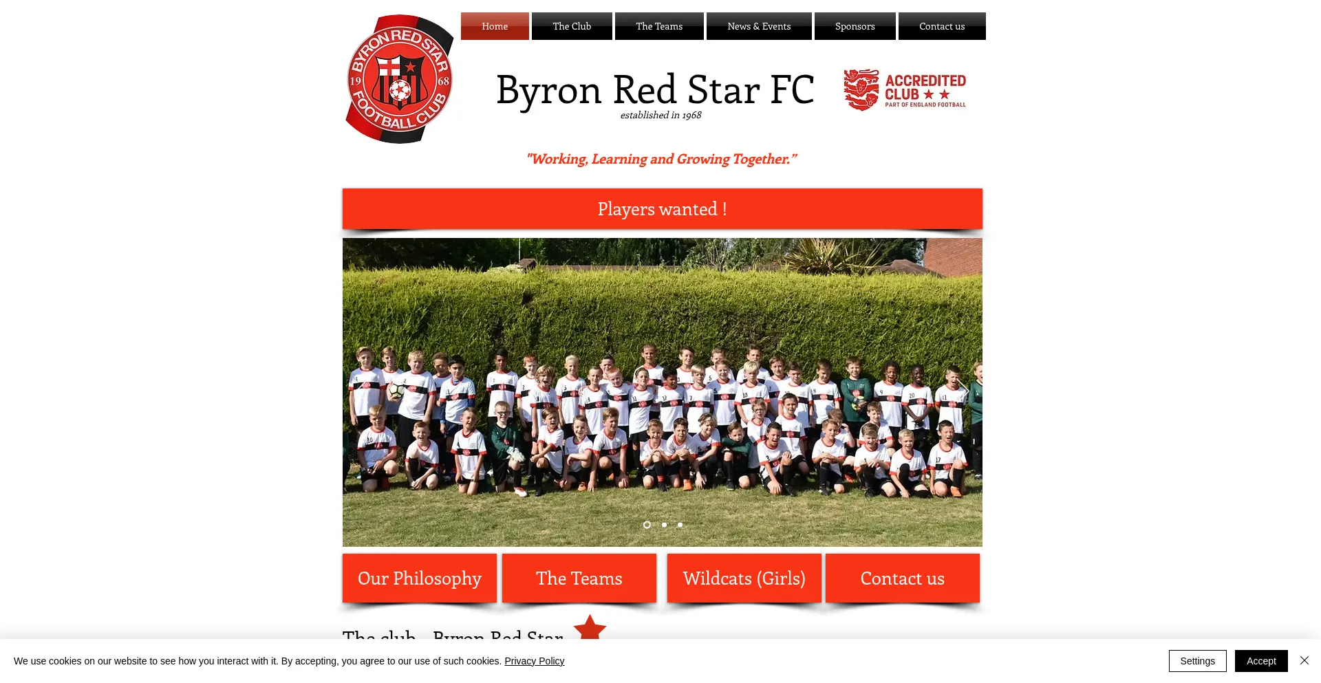 Website screenshot of Byronredstarfc.co.uk