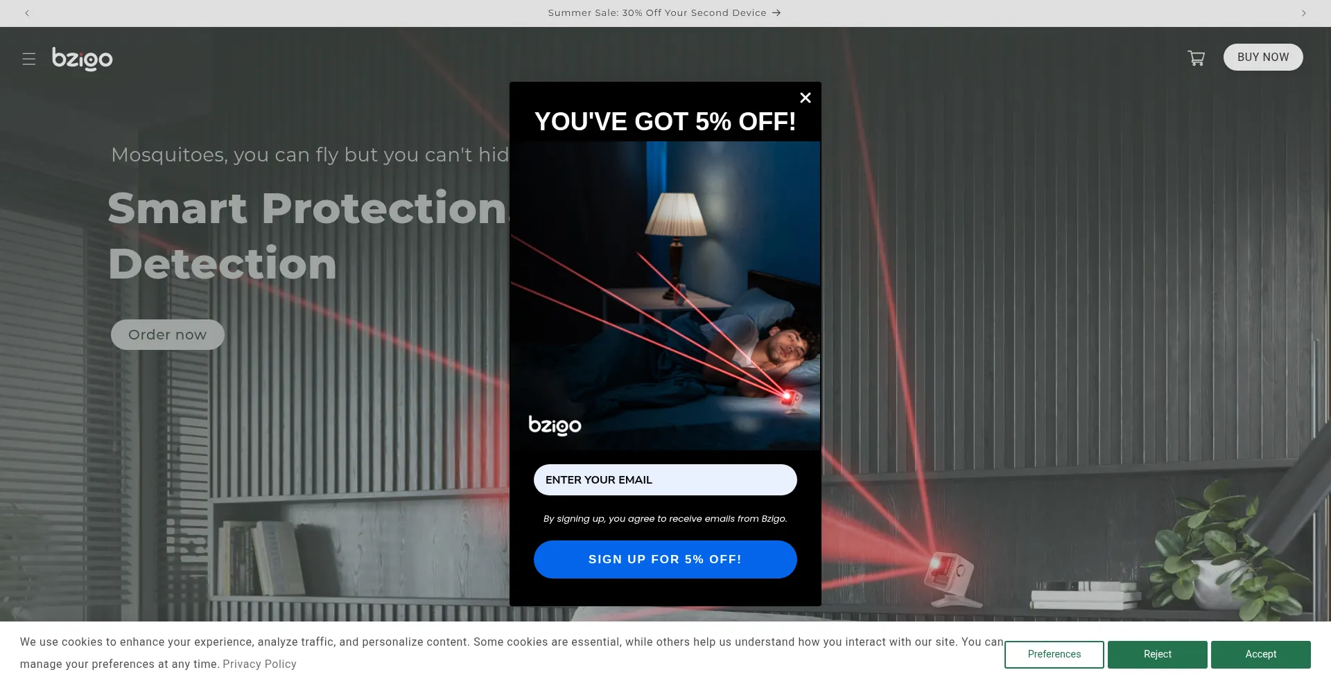 Website screenshot of Bzigo.com