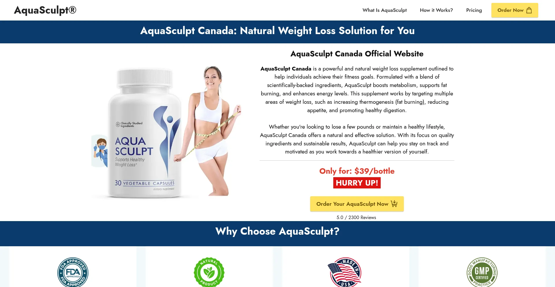 Website screenshot of Ca-aquasculpt.com