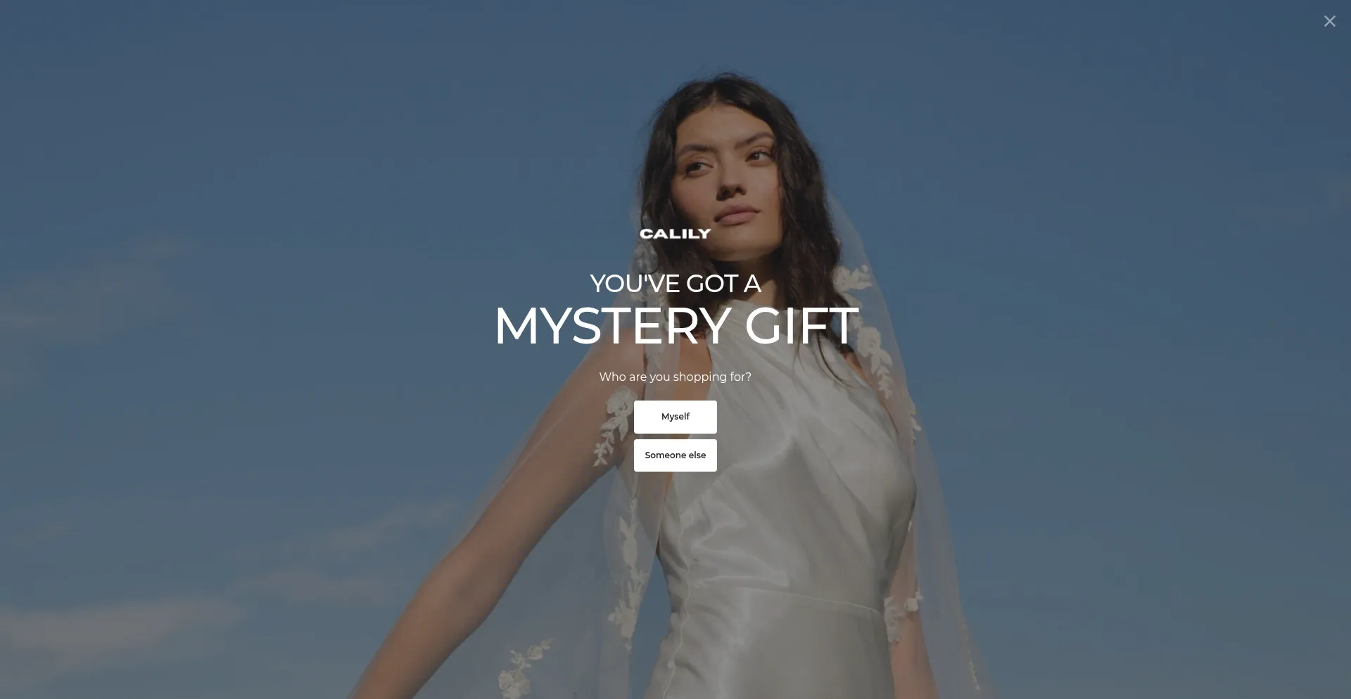 Website screenshot of Calilybridal.com