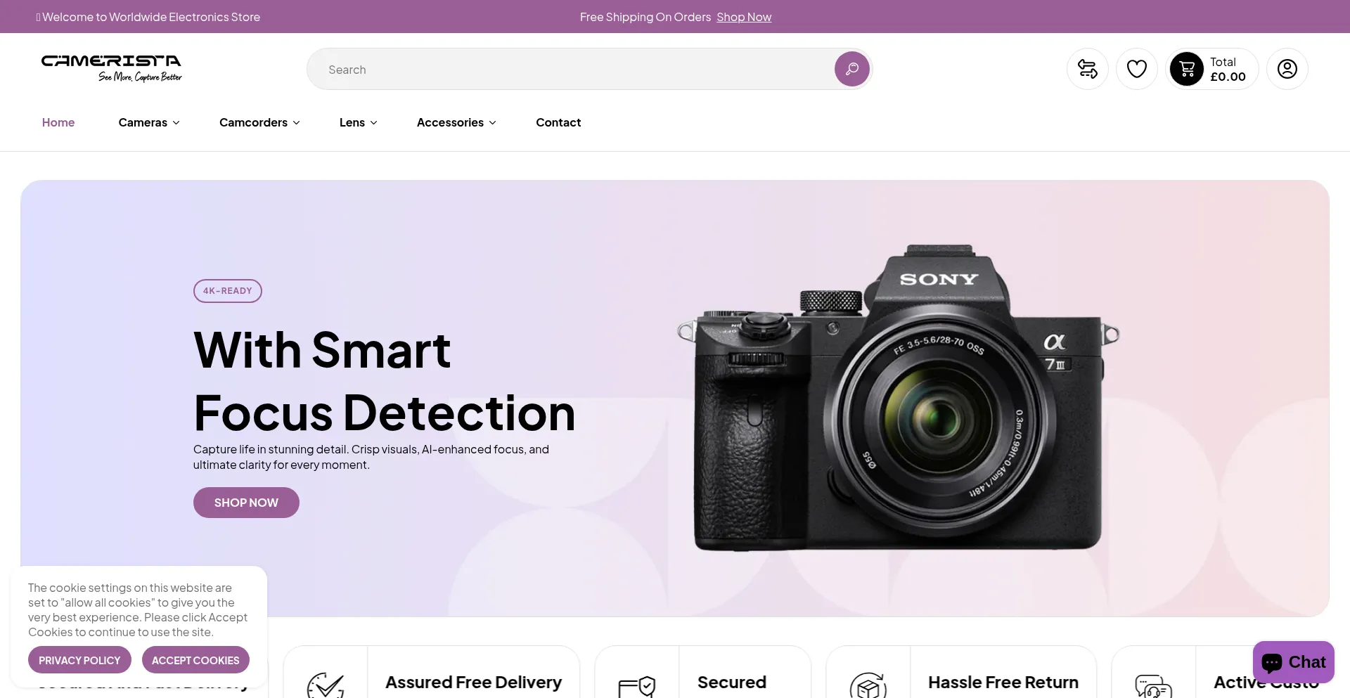 Website screenshot of Camerista.com