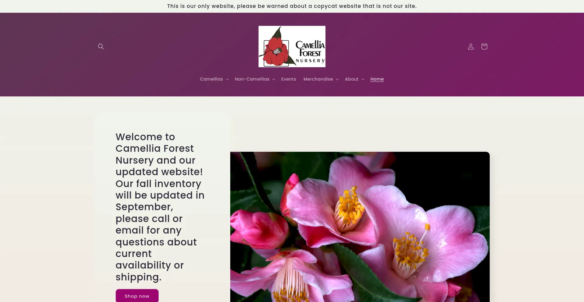 Camforest.com Screenshot