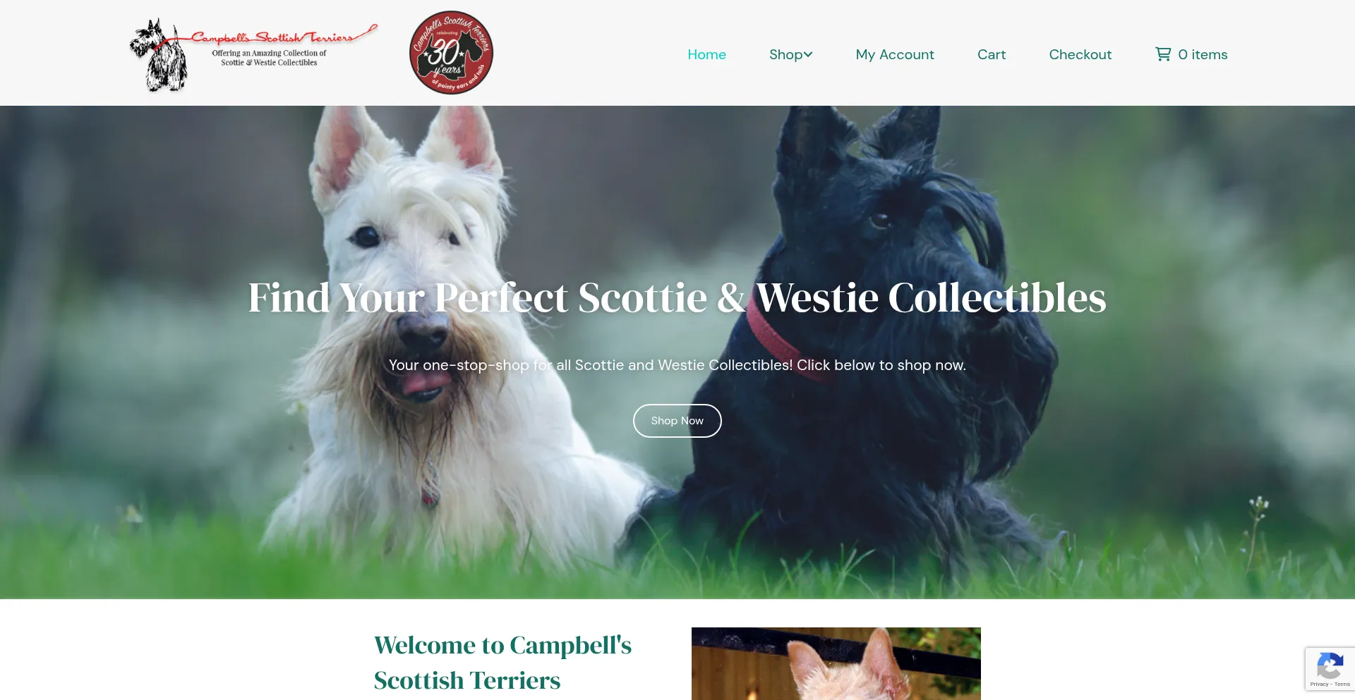 Campbellscotties.com