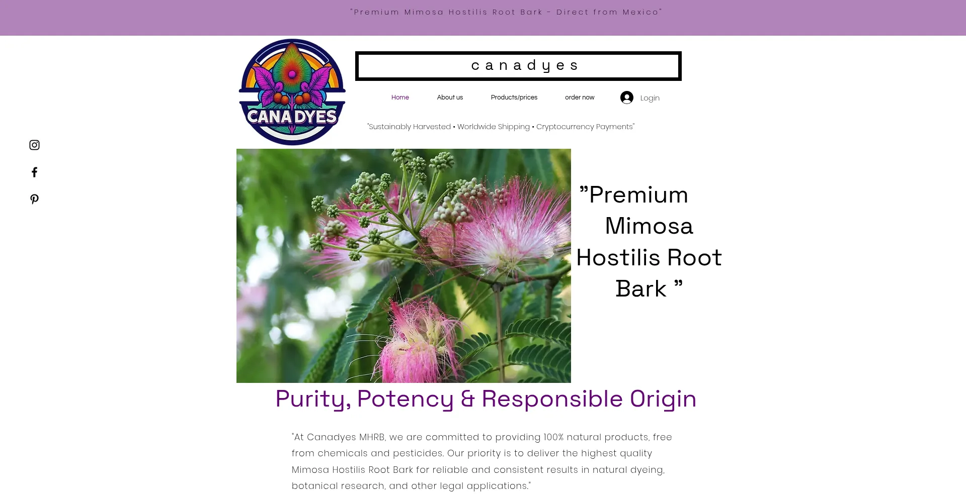 Website screenshot of Canadyes.ca
