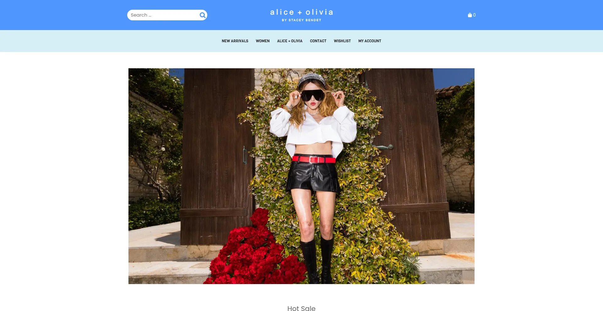 Website screenshot of Candicefeson.shop