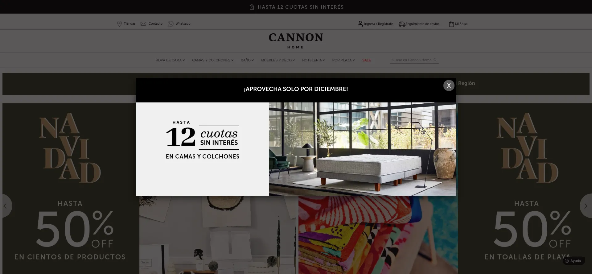Website screenshot of Cannonhome.cl
