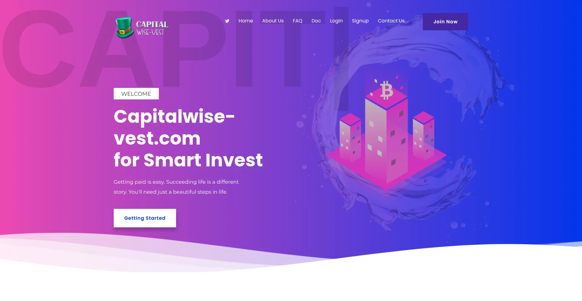Website screenshot of Capitalwise-vest.com