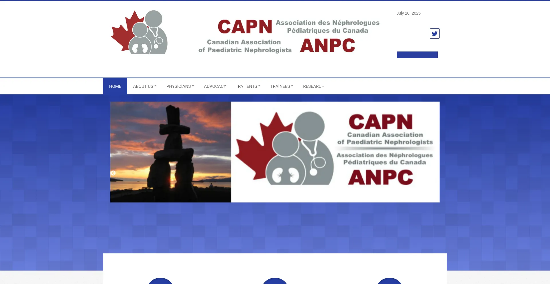 Website screenshot of Capneph.ca