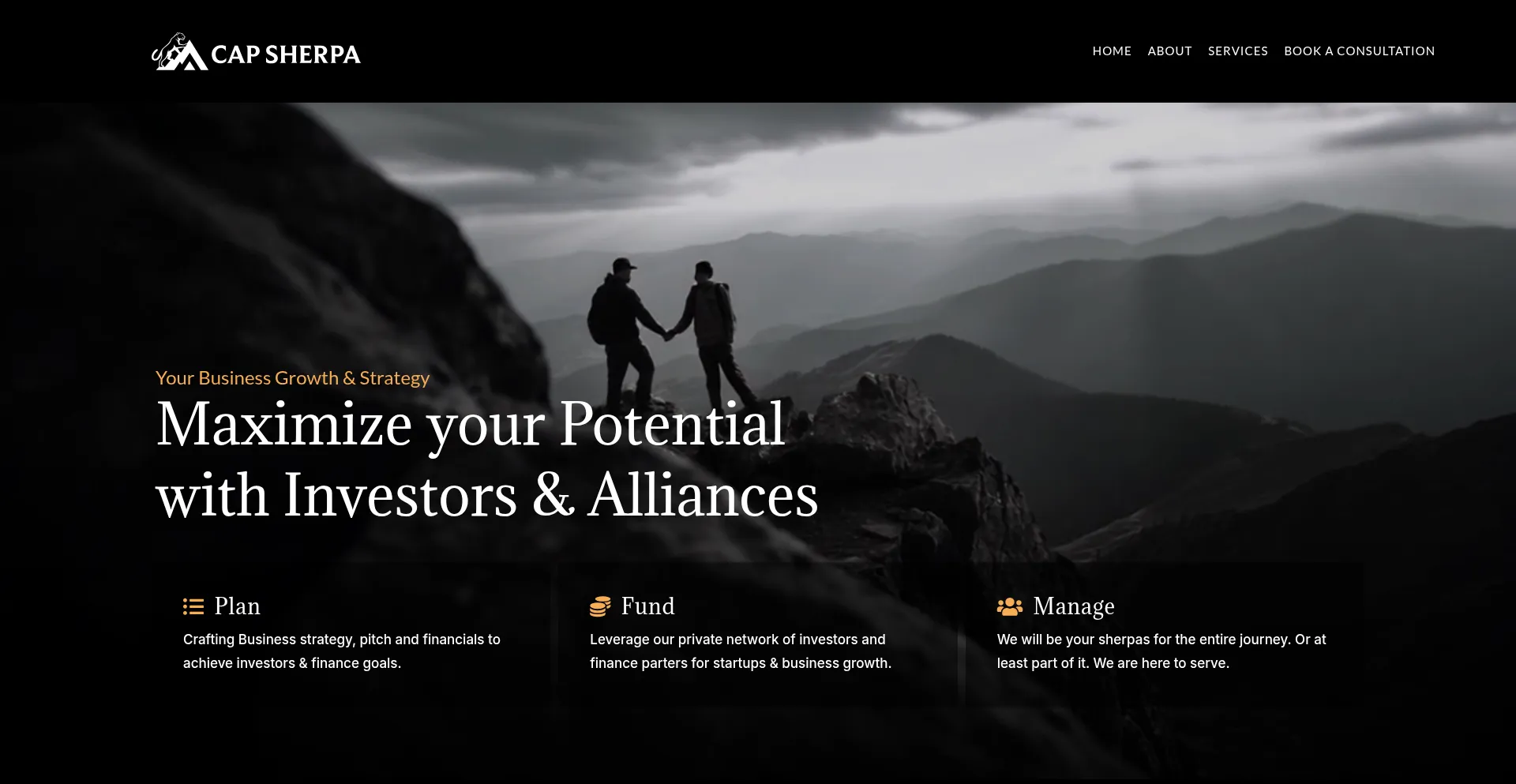 Website screenshot of Capsherpa.com