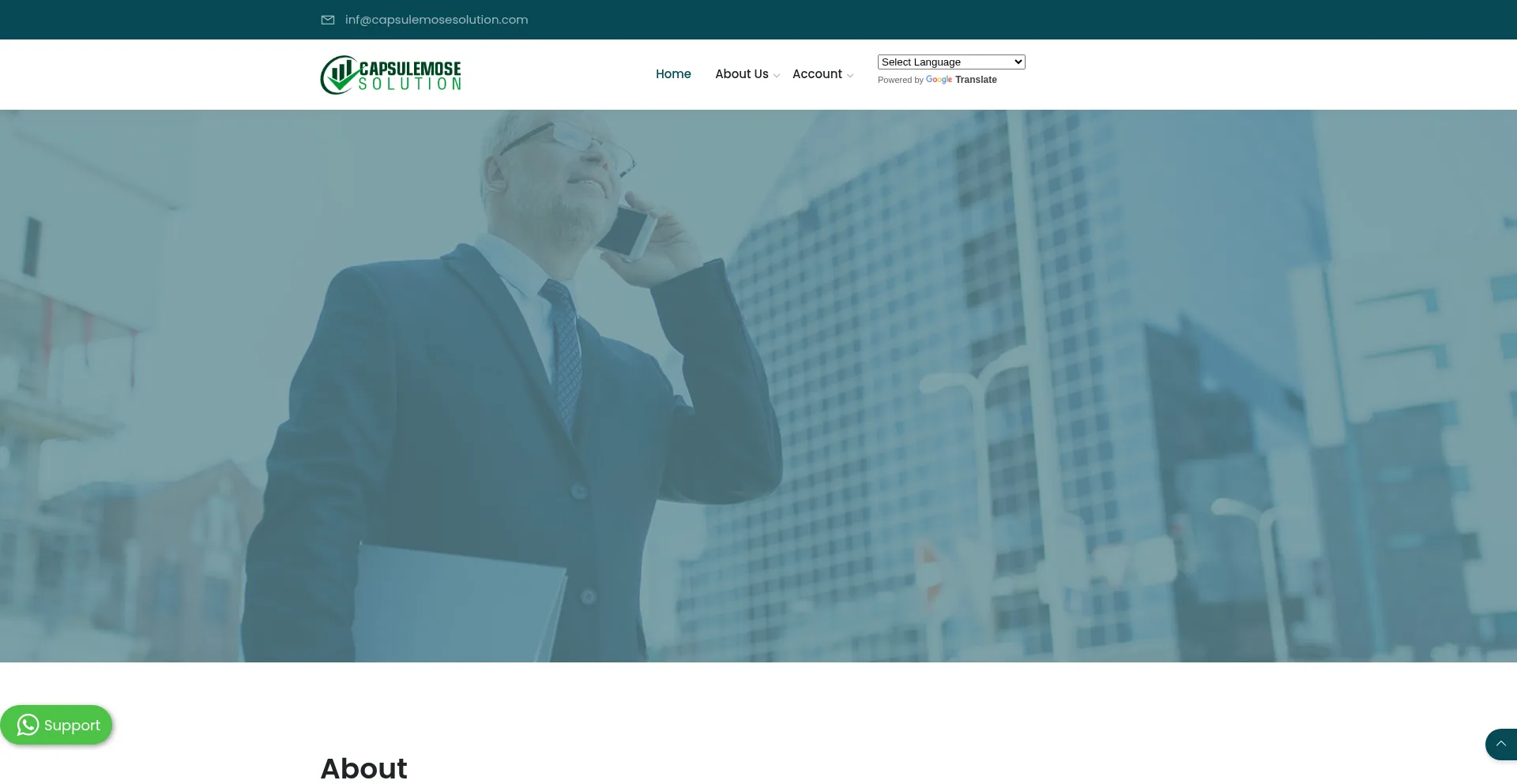 Website screenshot of Capsulemosesolution.com