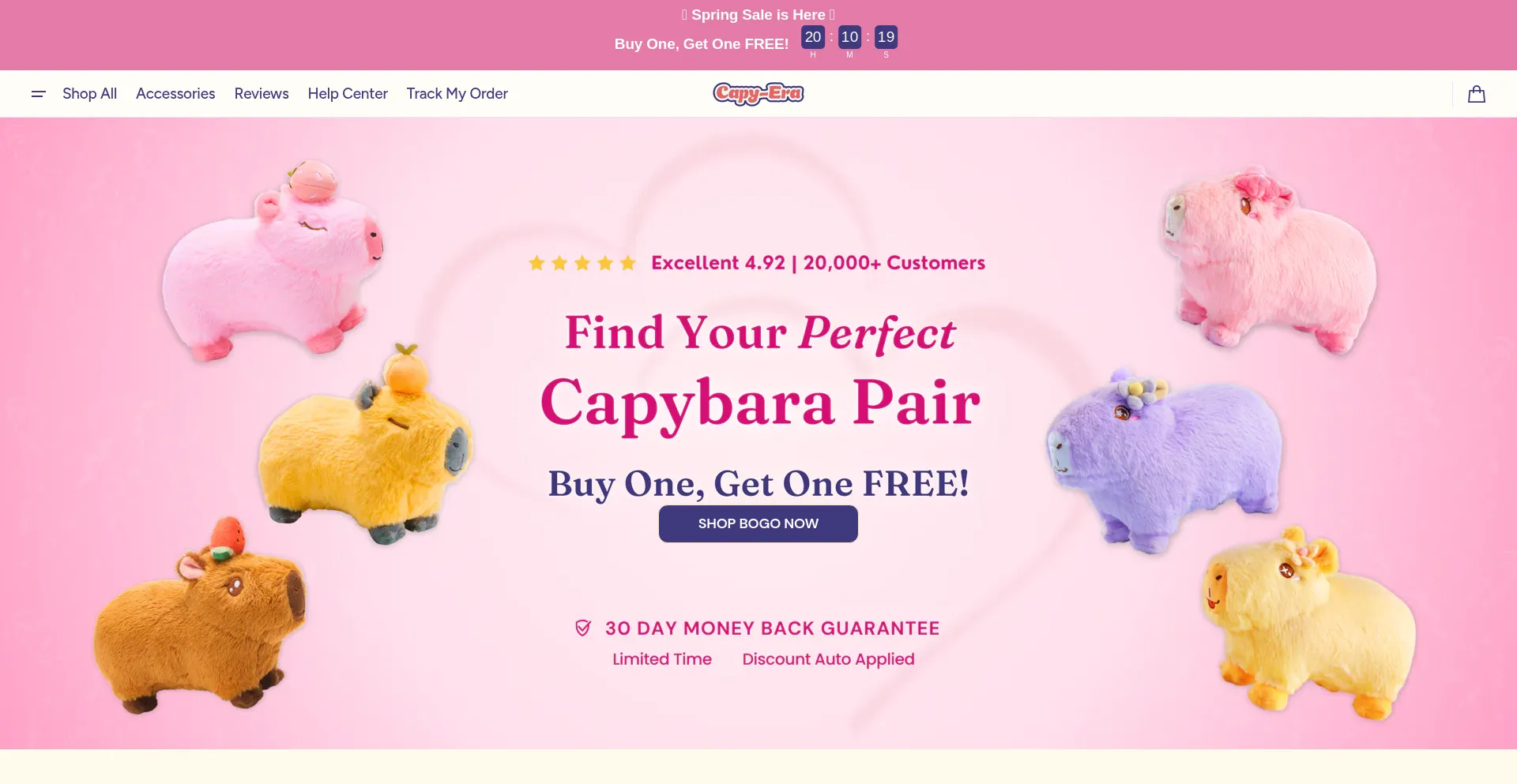 Website screenshot of Capyera.com