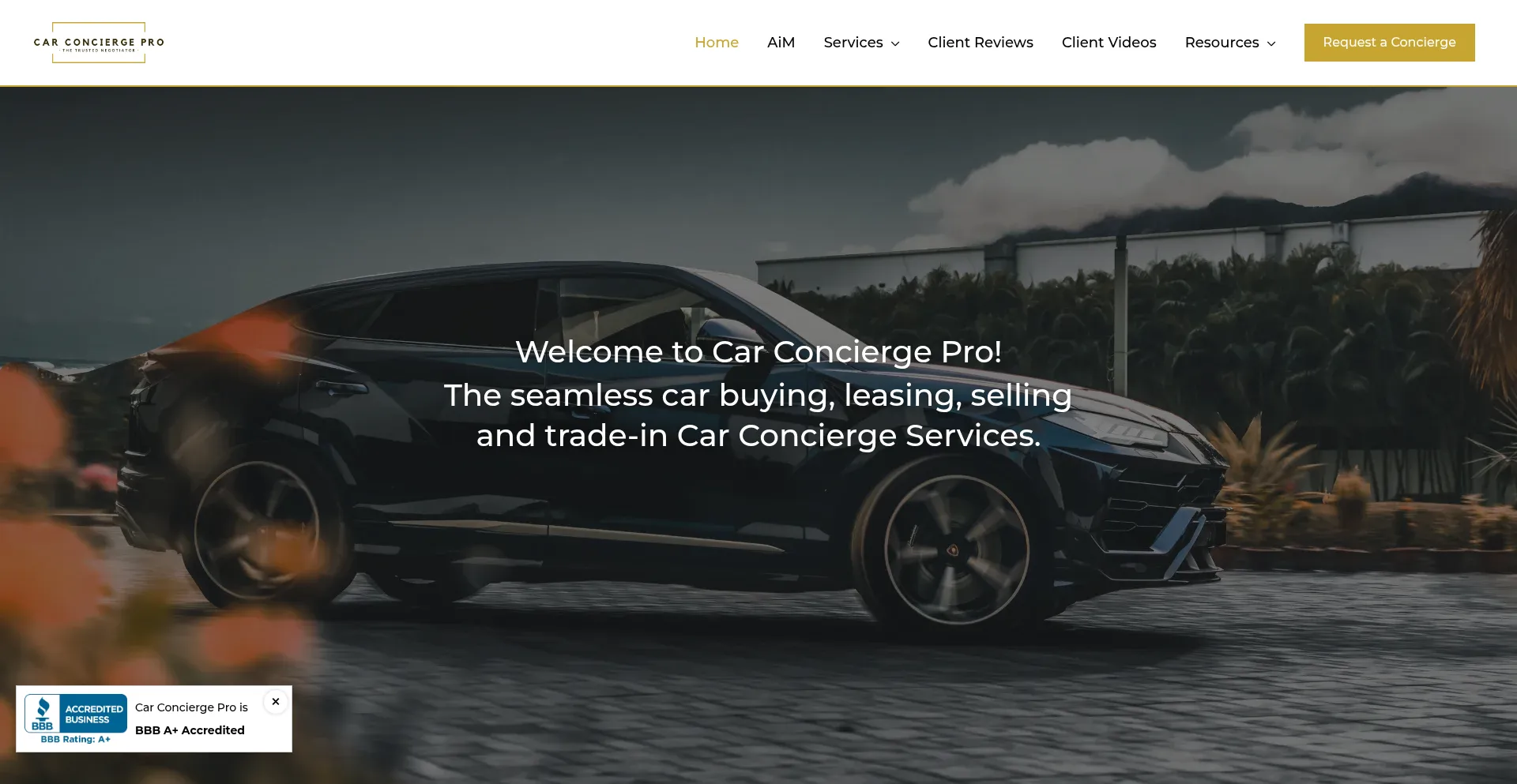 Carconciergepro.com Screenshot
