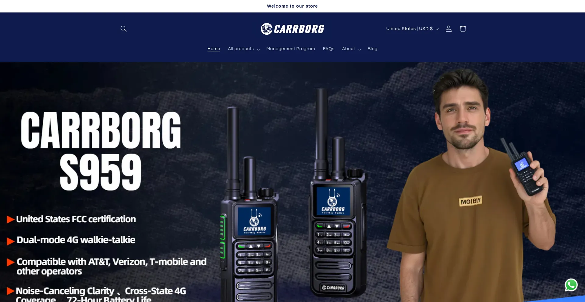 Website screenshot of Carrborg-ptt.com