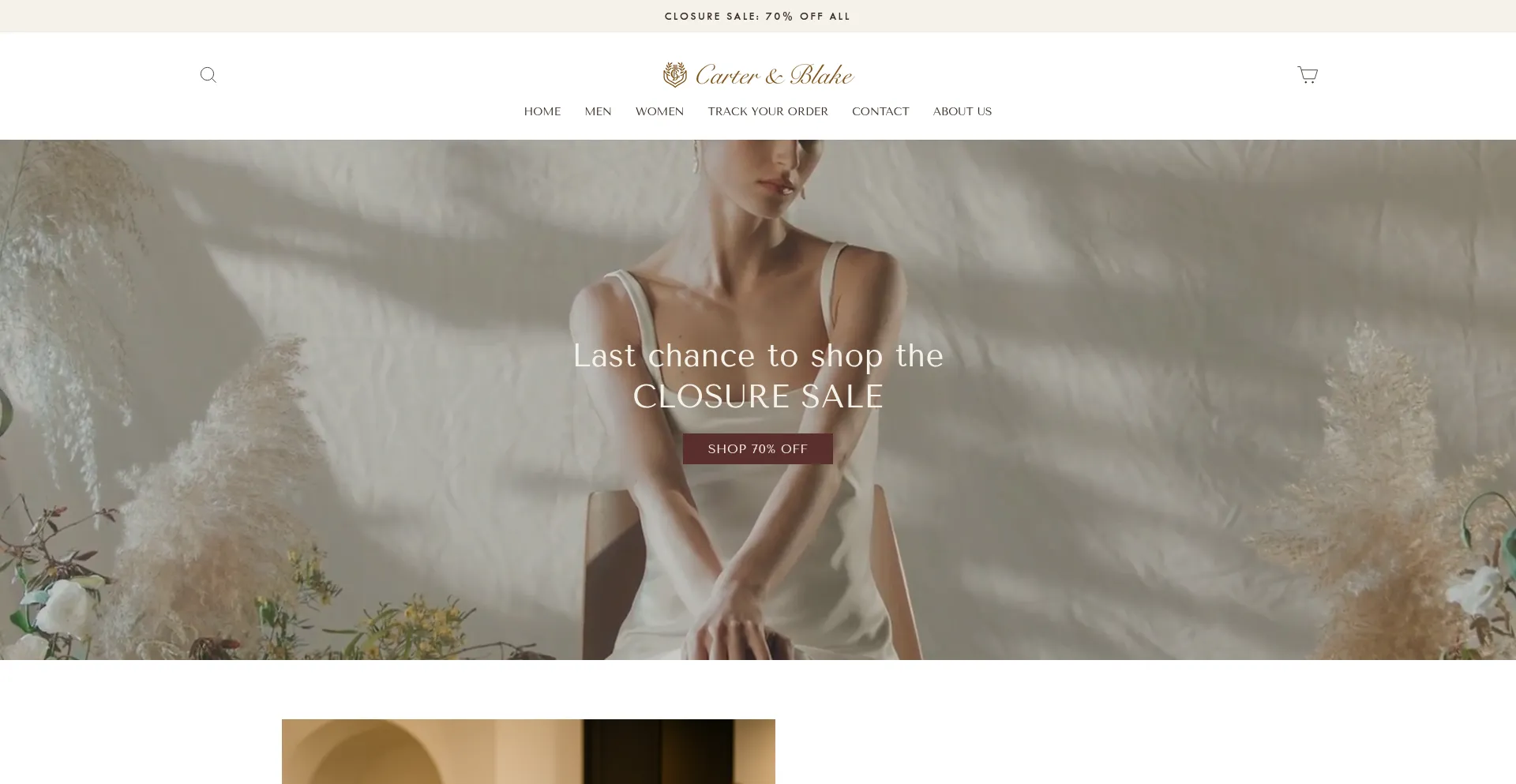 Website screenshot of Carterandblake.com