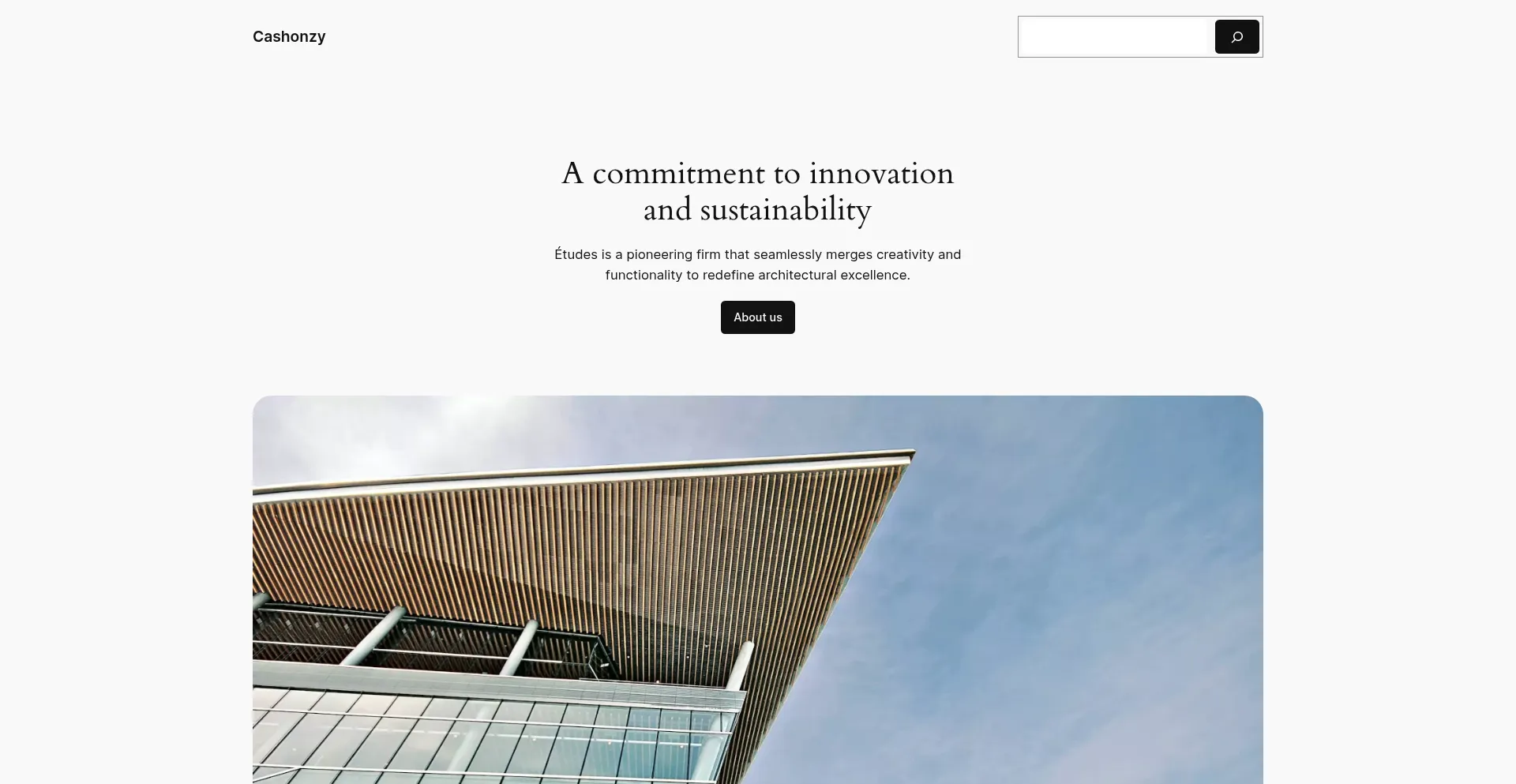 Website screenshot of Cashonzy.com