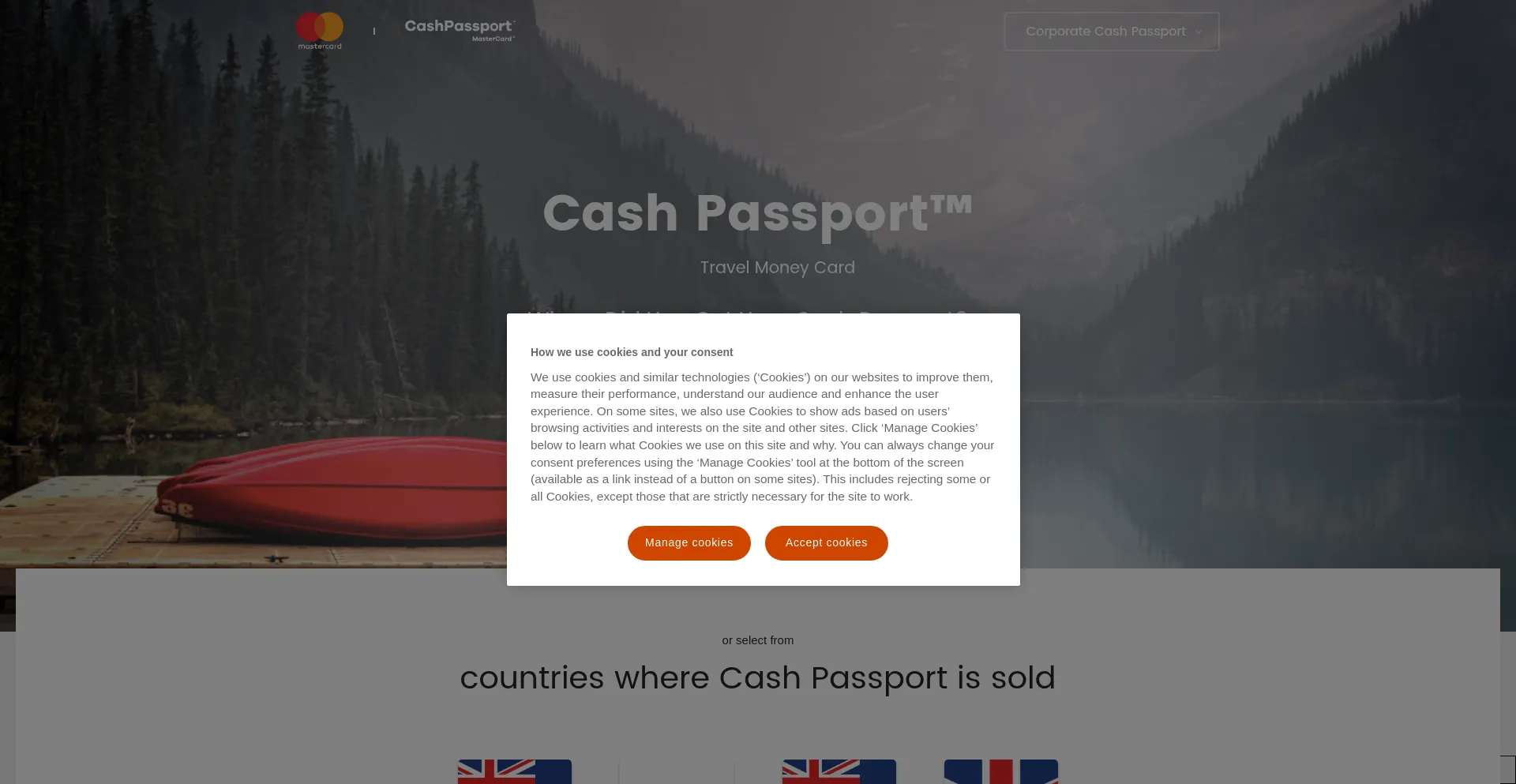 Website screenshot of Cashpassport.com