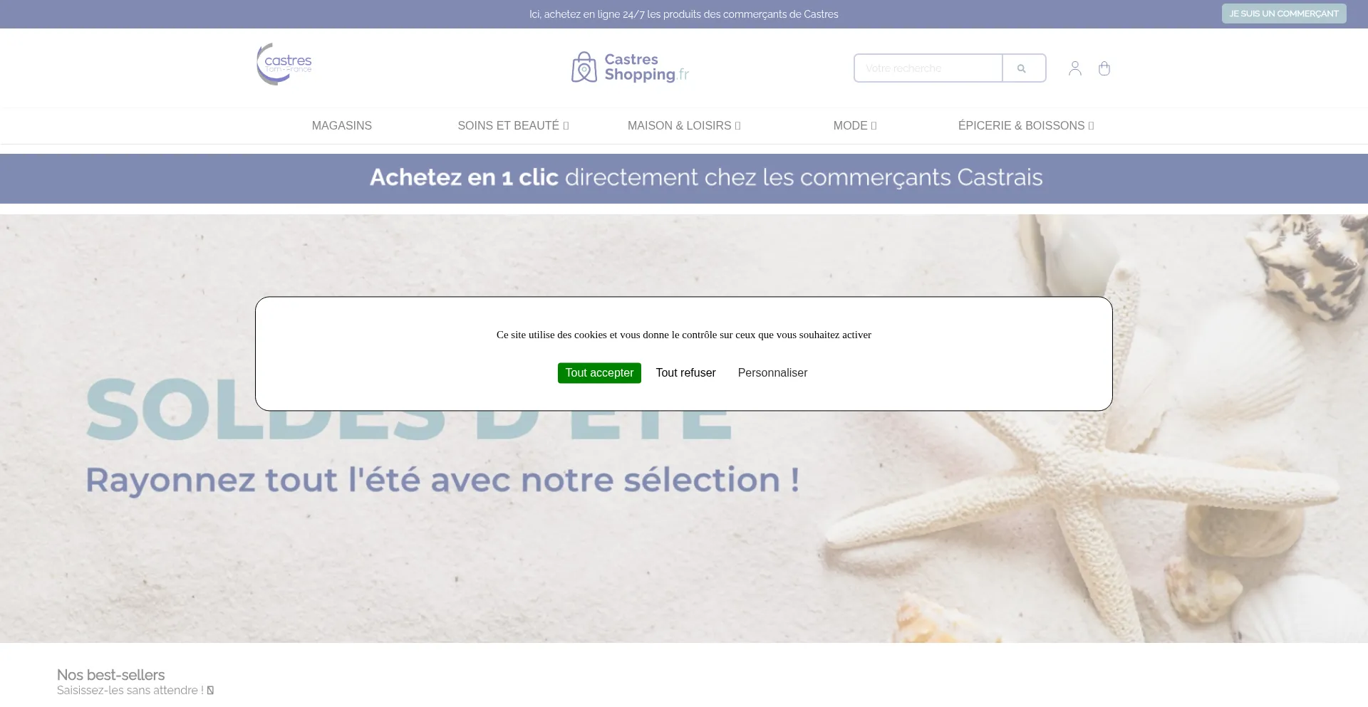 Website screenshot of Castresshopping.fr
