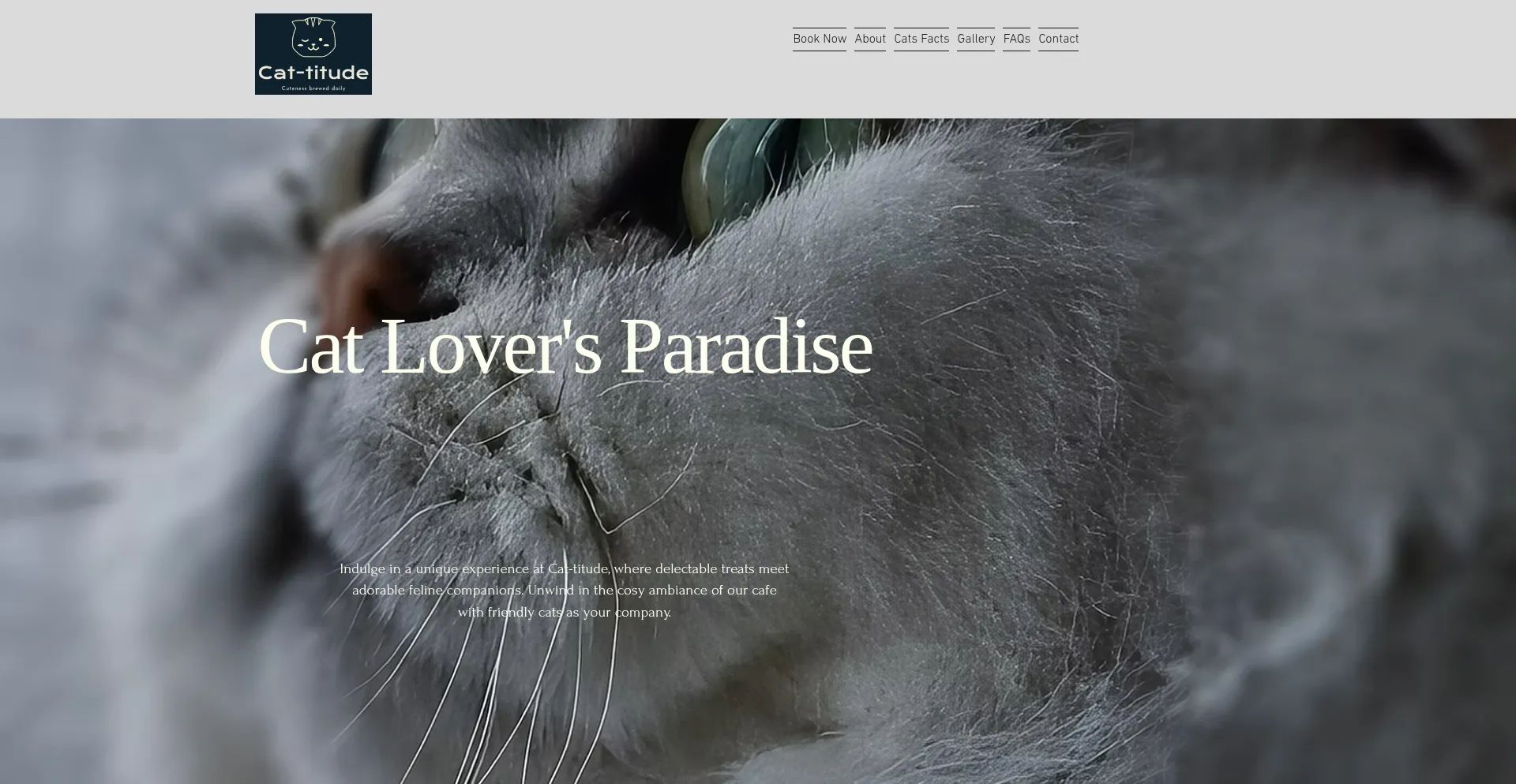 Is Cat-titude.co.uk Safe?