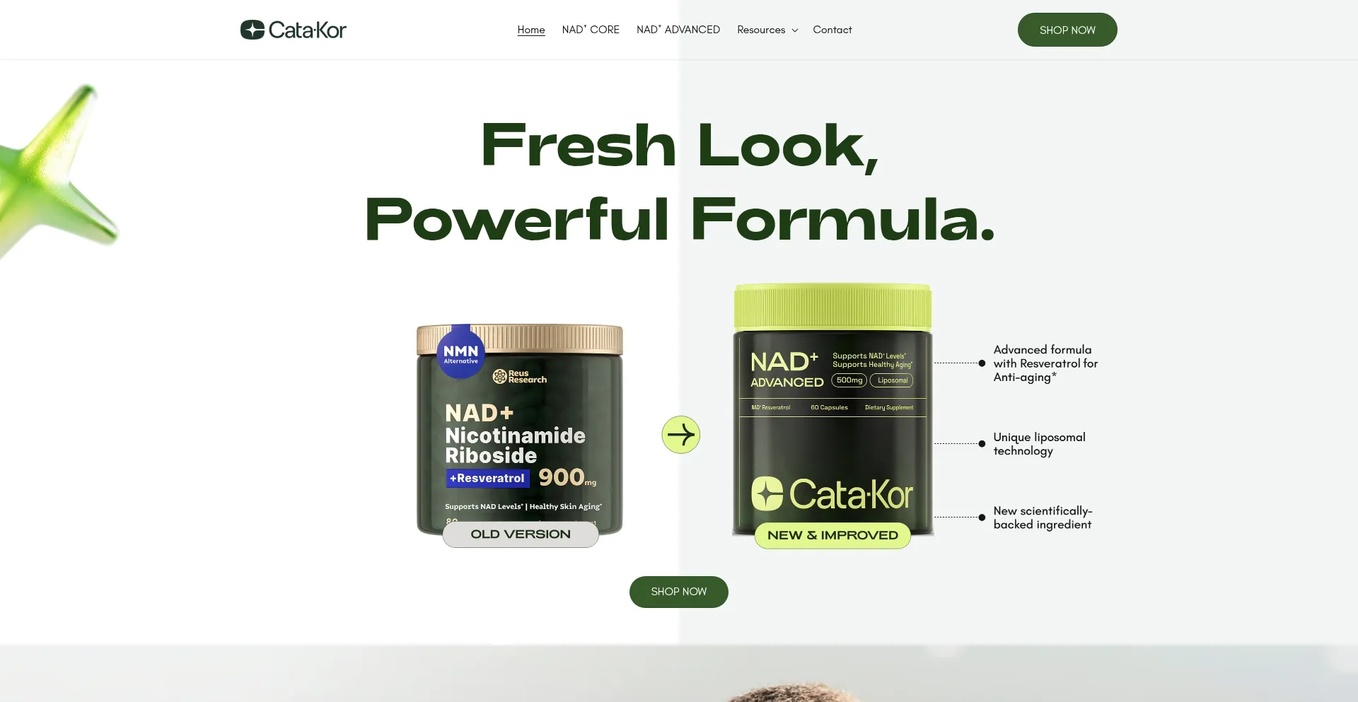 Website screenshot of Catakor.com