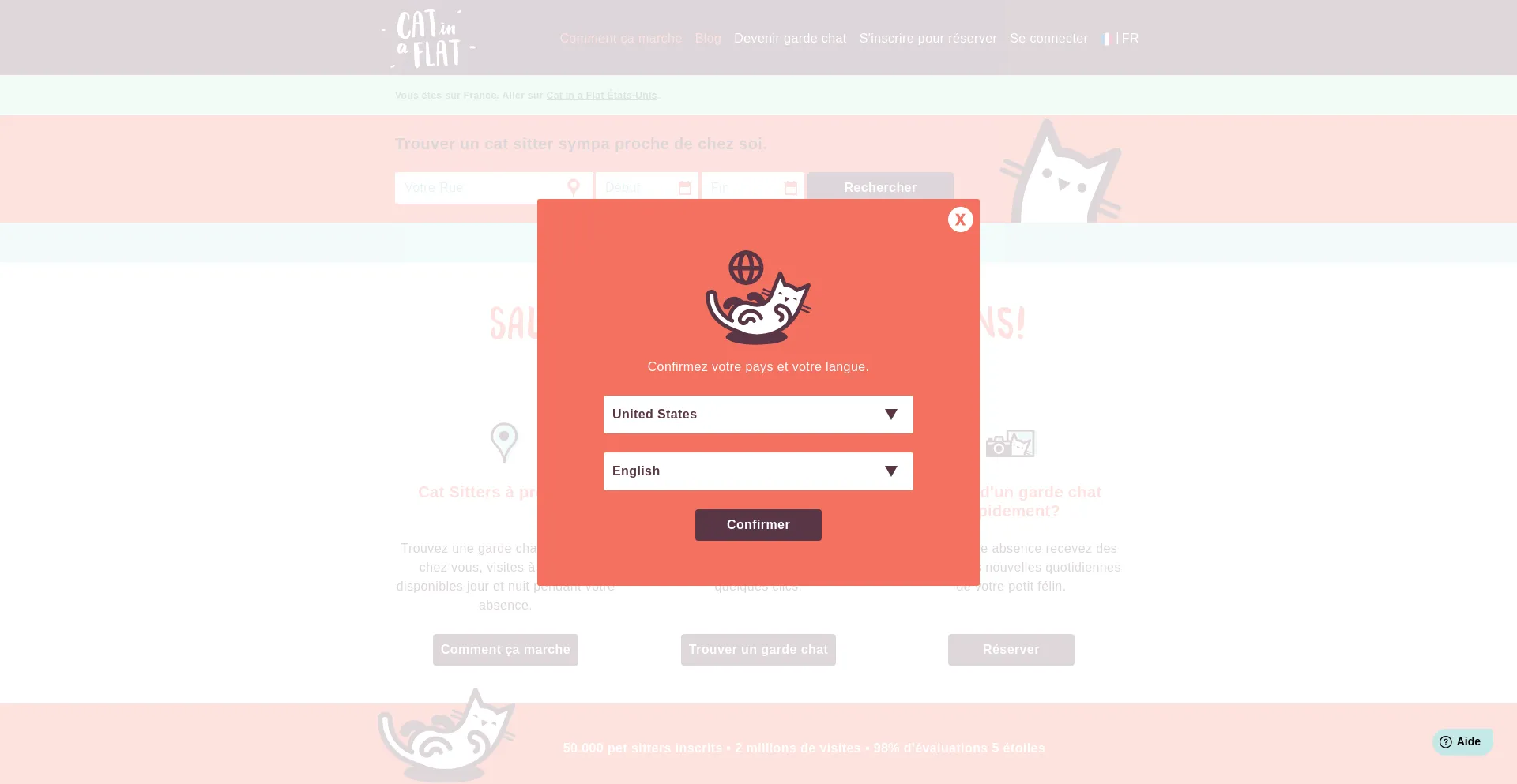 Website screenshot of Catinaflat.fr