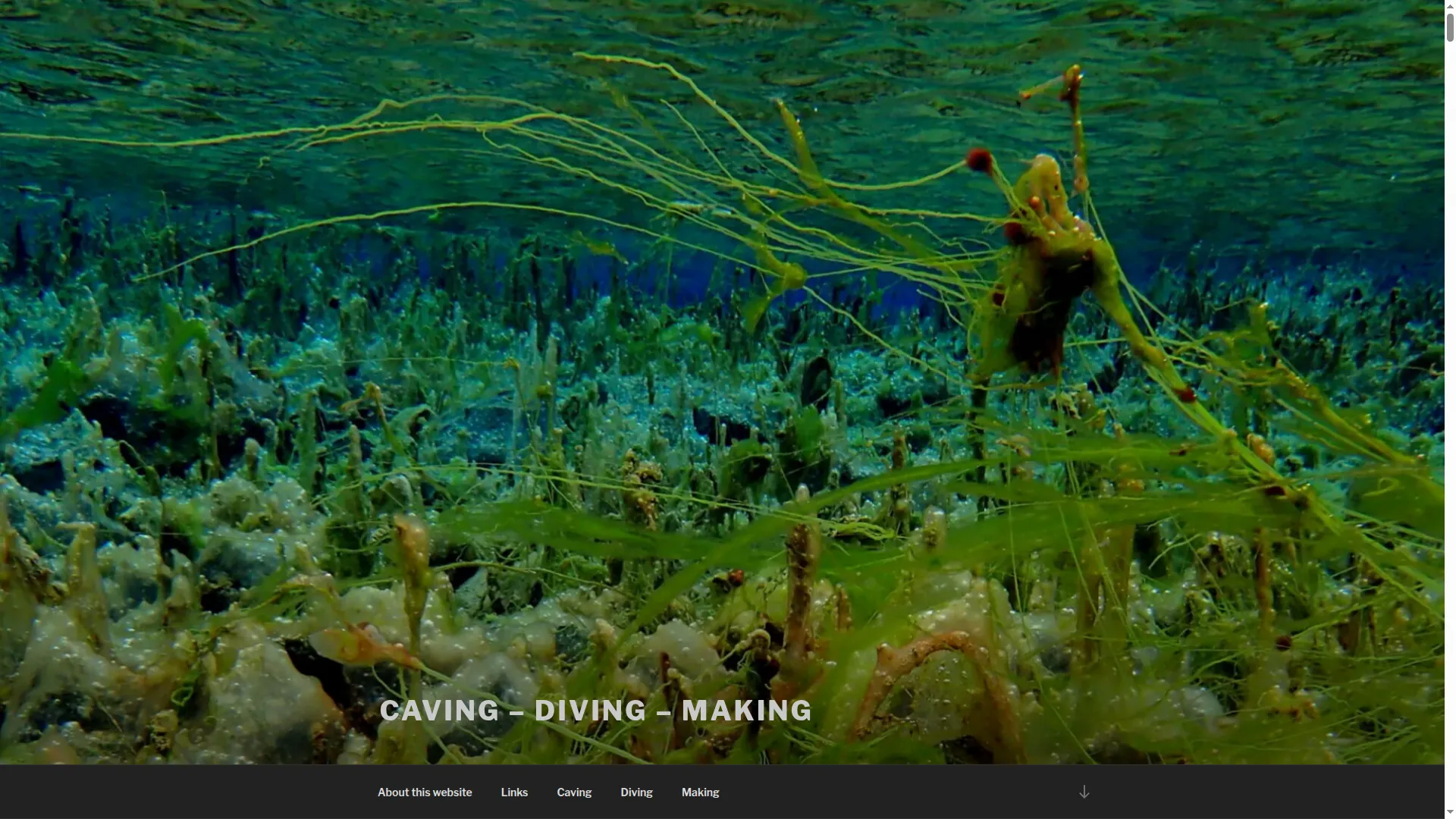 Cave-dive-make.com