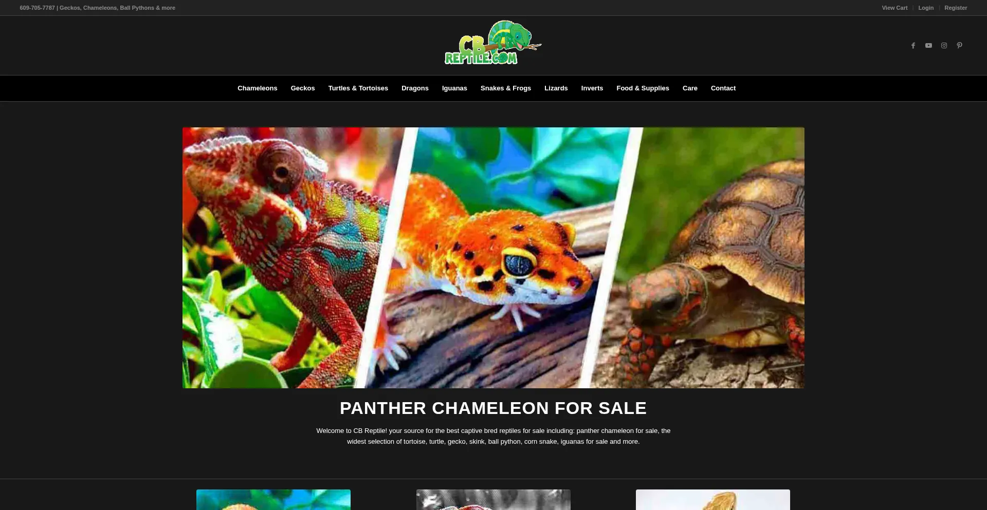 Cbreptile.com