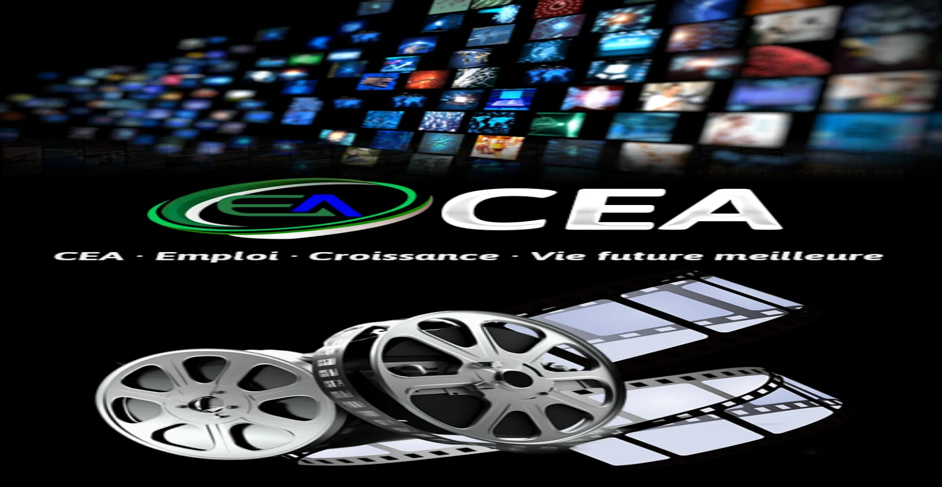 Ceacx.com Screenshot
