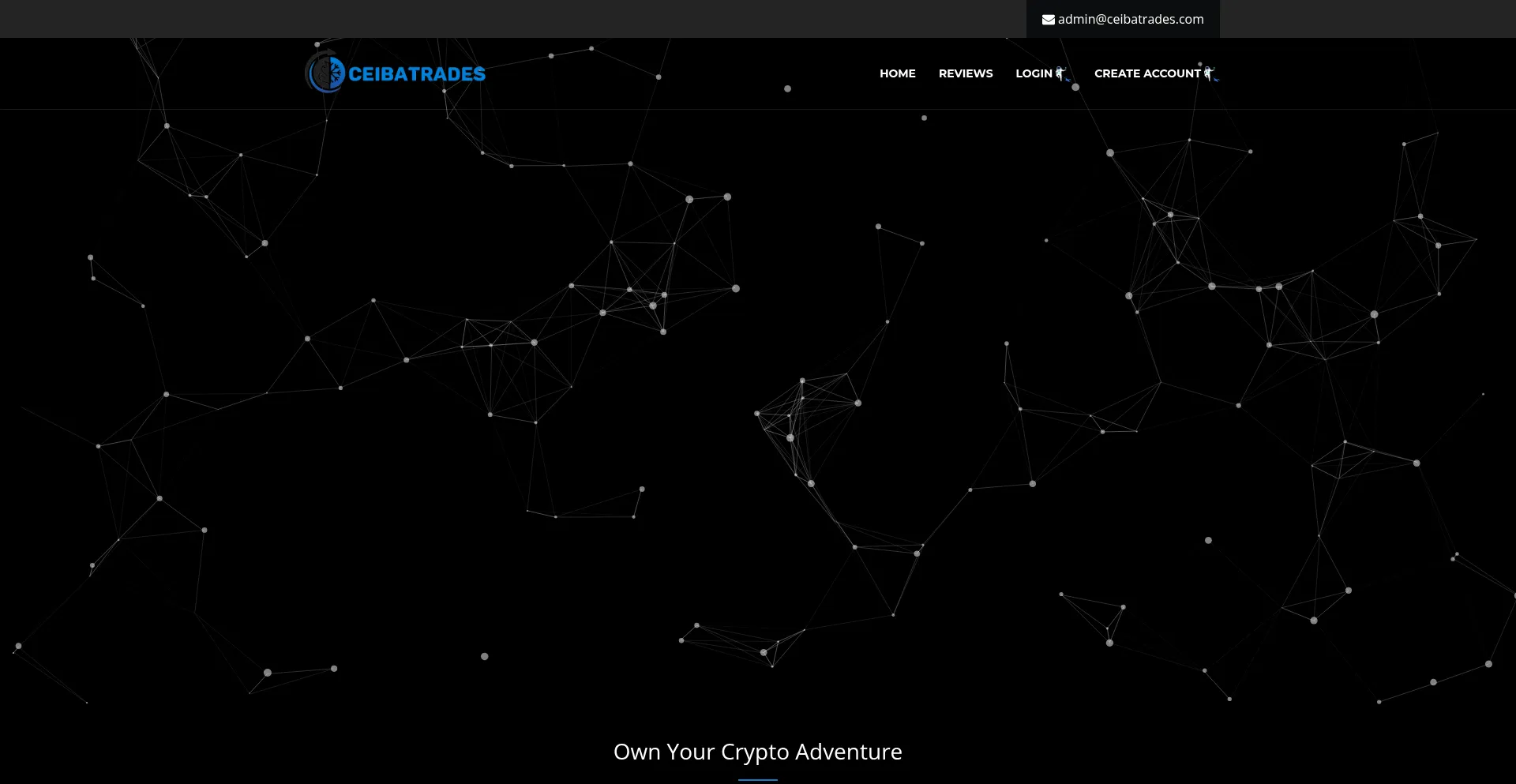 Website screenshot of Ceibatrades.com