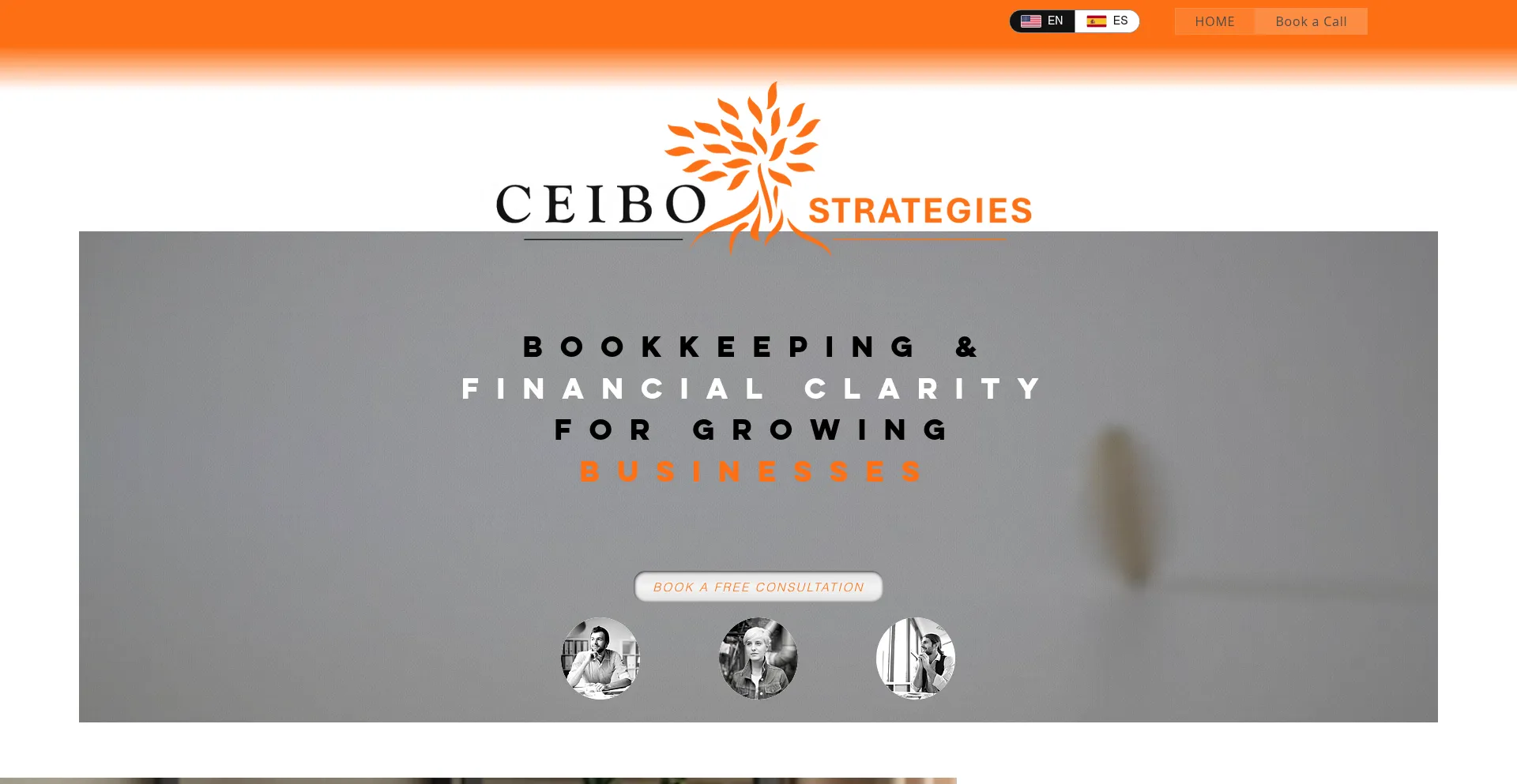 Website screenshot of Ceibostrategies.com