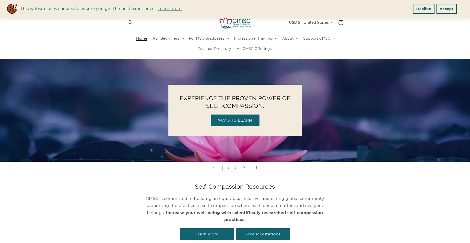 Website screenshot of Centerformsc.org