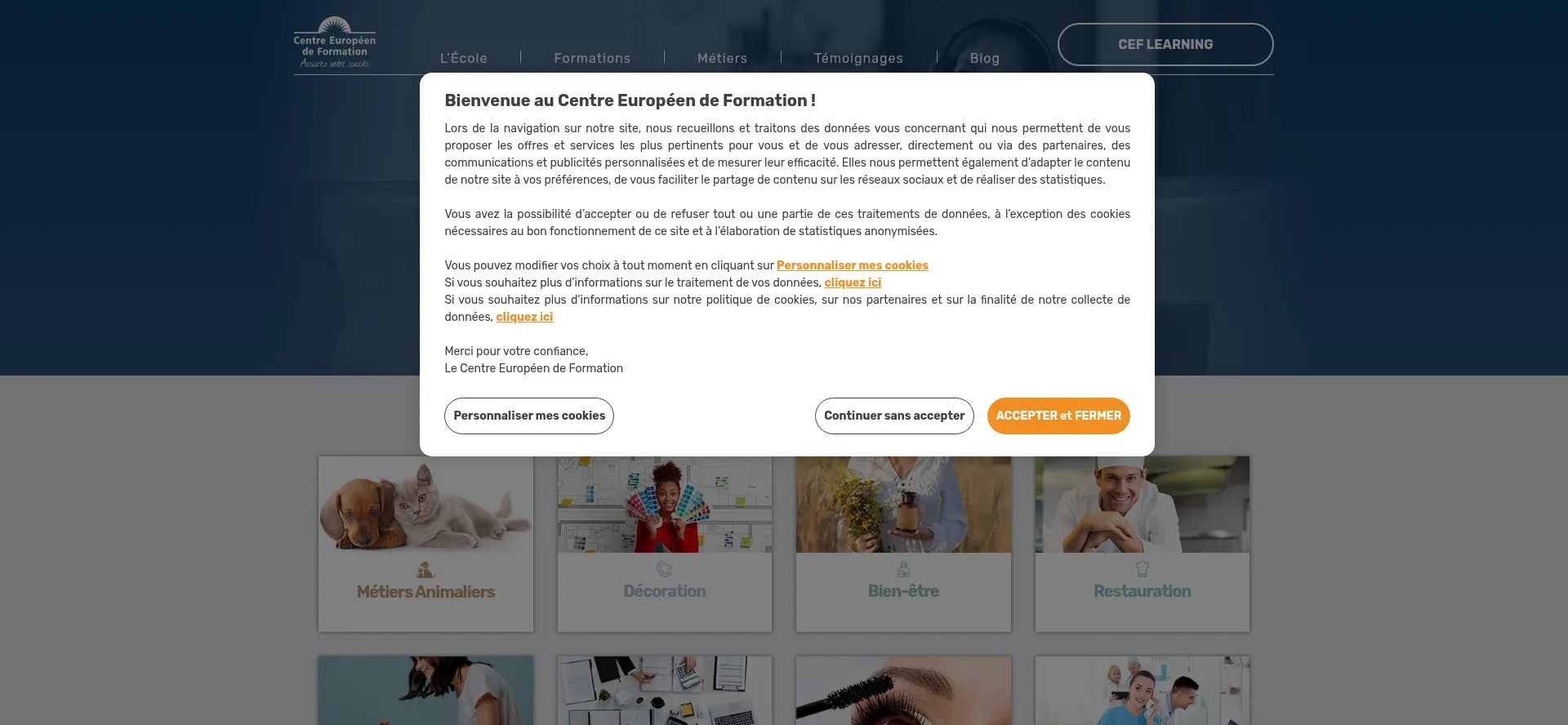 Website screenshot of Centre-europeen-formation.fr