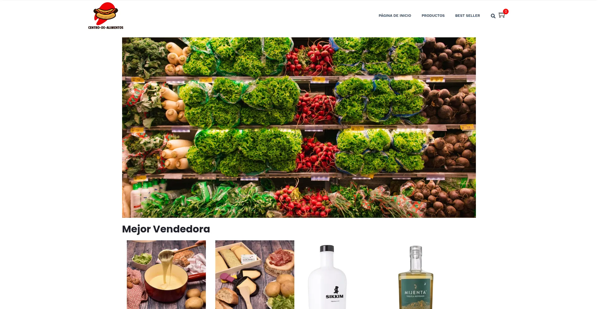 Website screenshot of Centro-de-alimentos.com