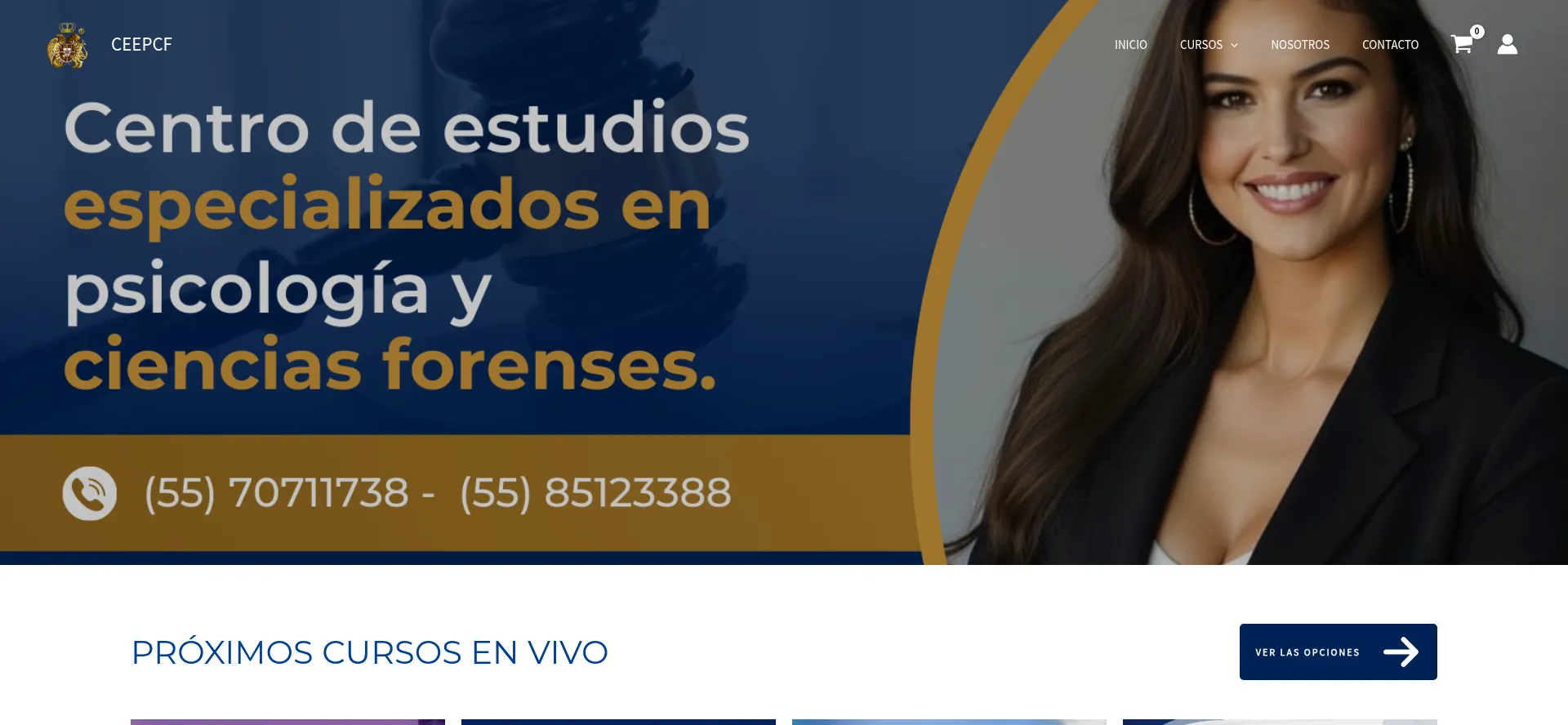 Website screenshot of Centrodeestudiosceepcf.com