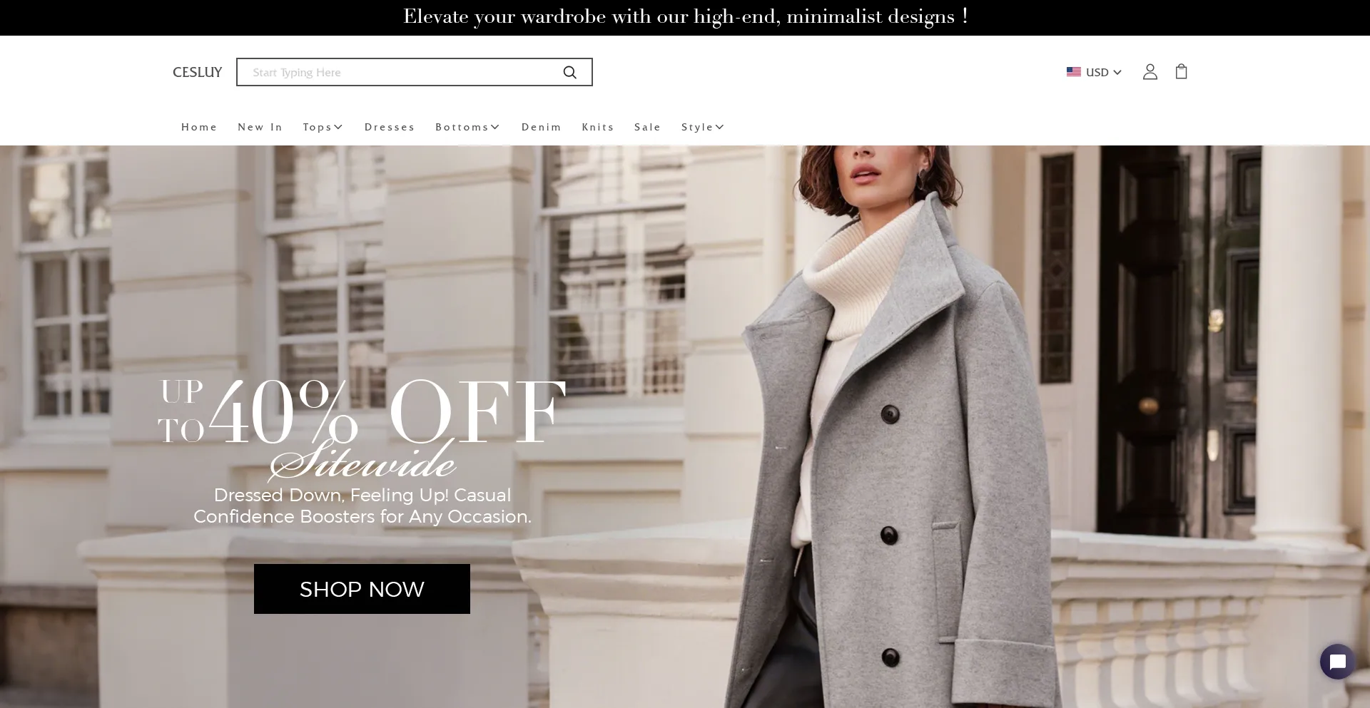 Website screenshot of Cesluy.com