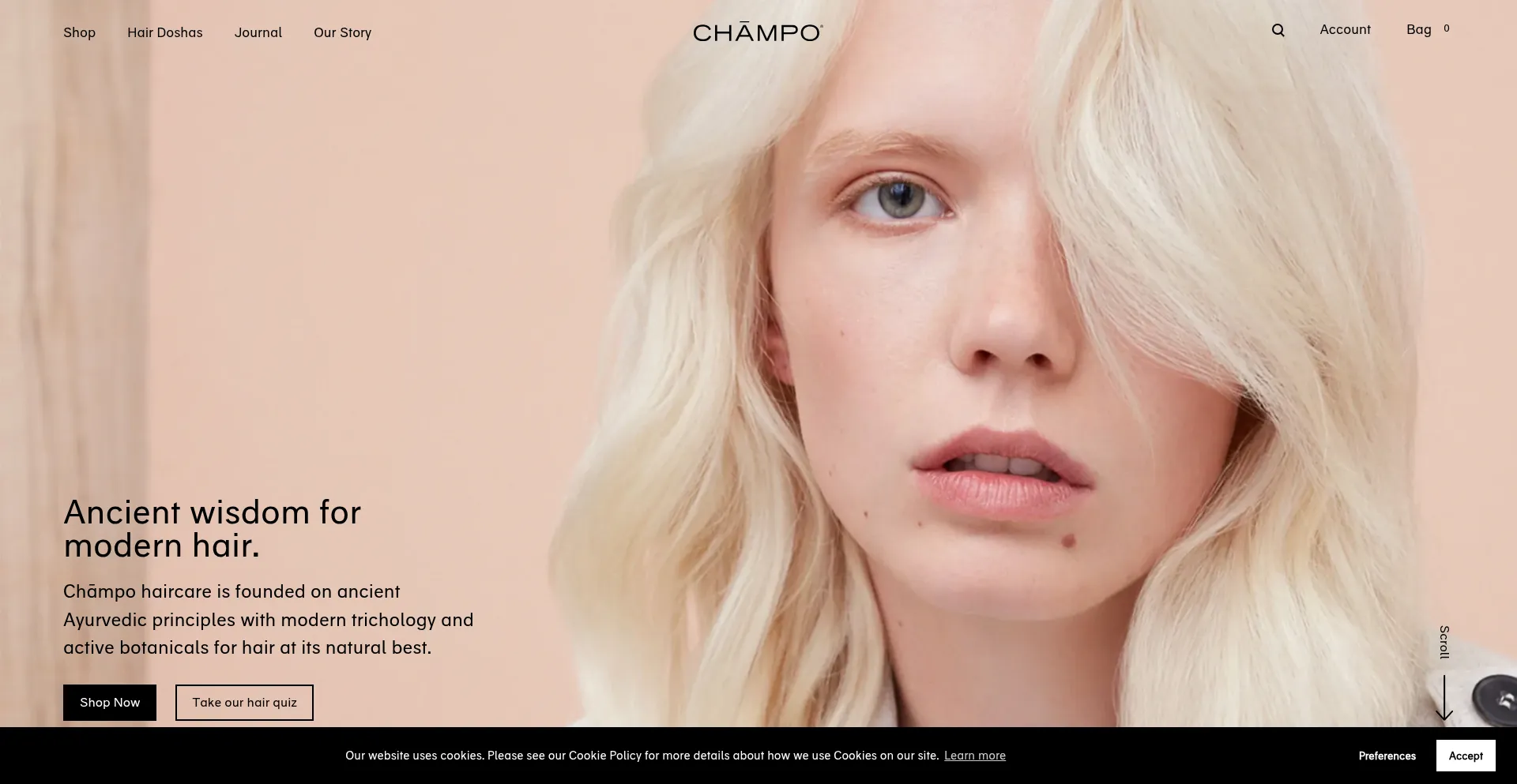 Website screenshot of Champo.com