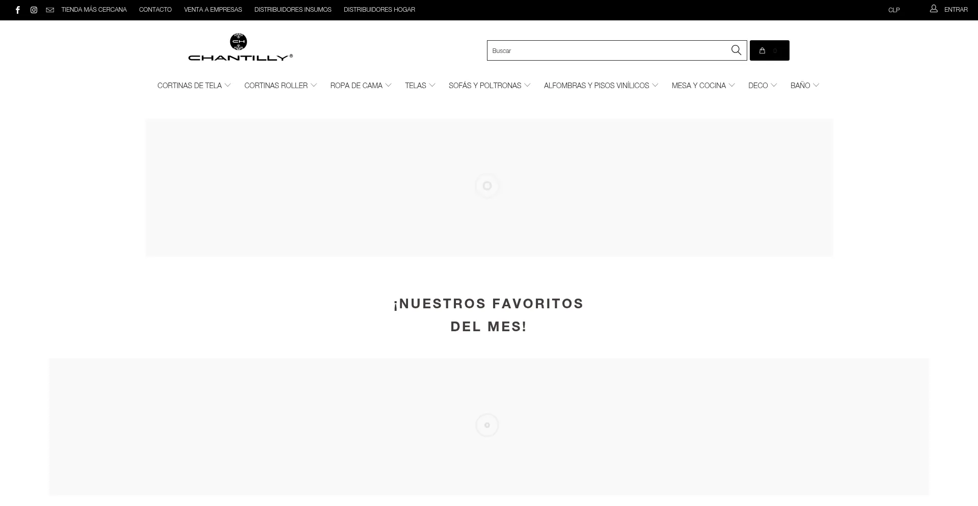 Website screenshot of Chantilly.cl