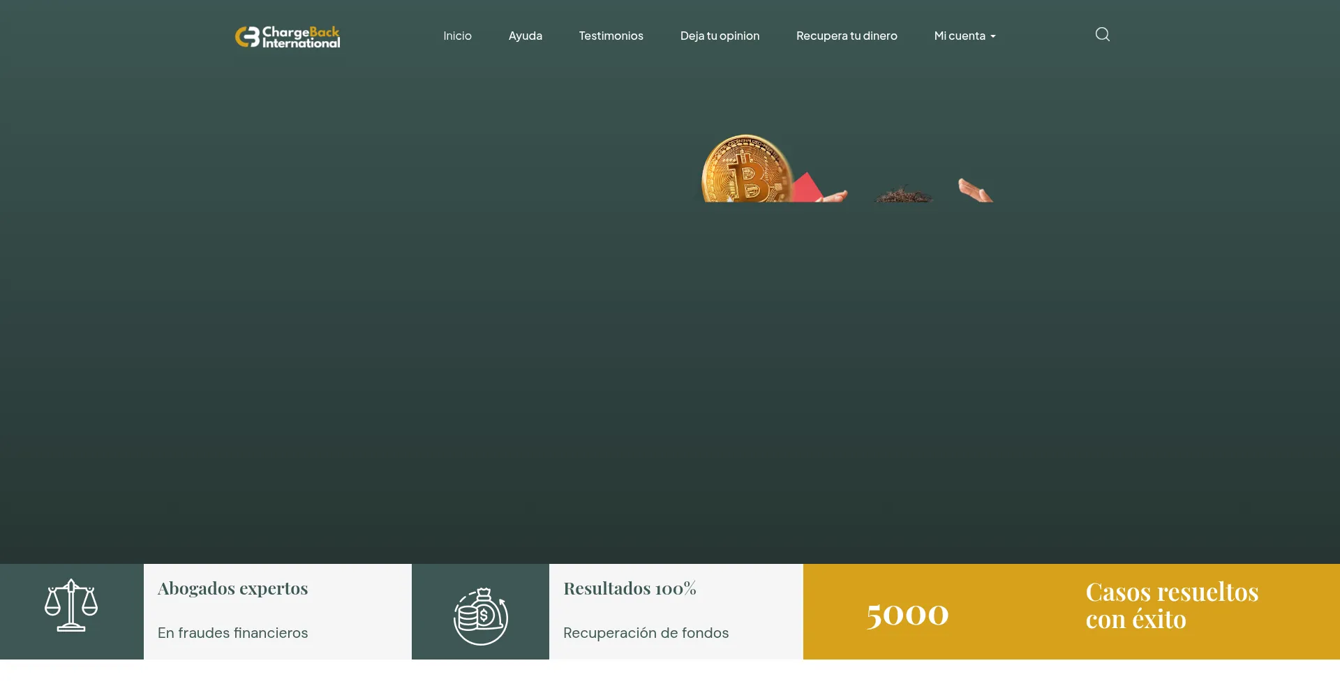 Is Chargebackinternationnal.com Safe?