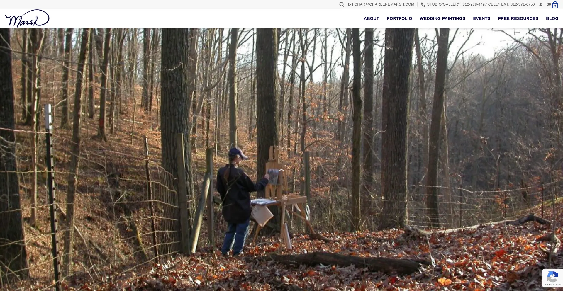 Charlenemarshstudio.com Screenshot