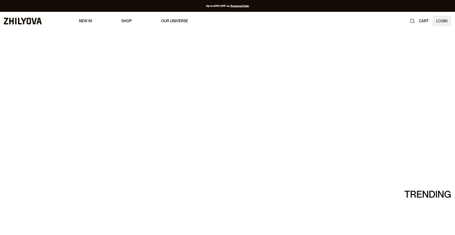 Website screenshot of Checkout.zhilyova.com