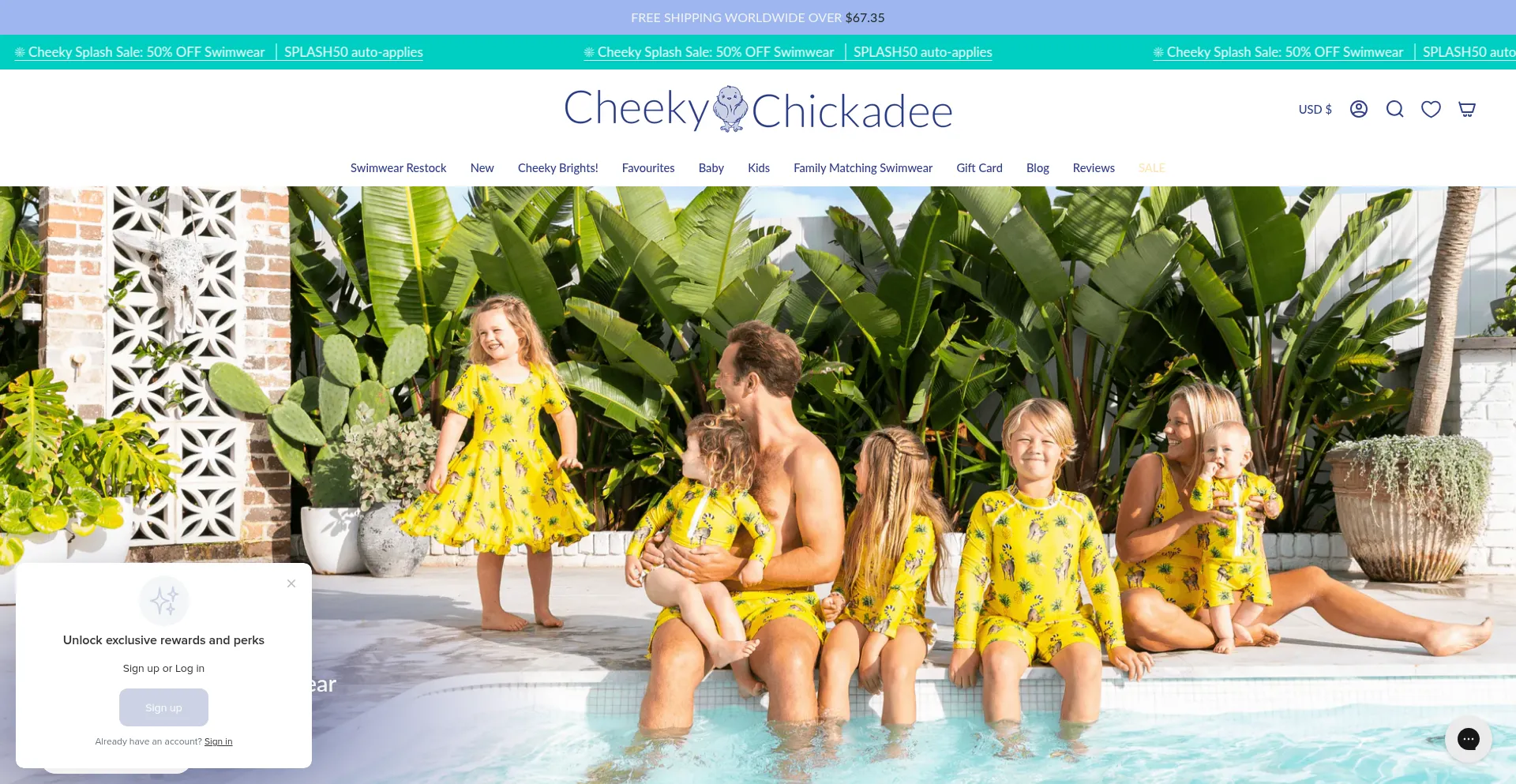 Is Cheekychickadeestore.com Safe?