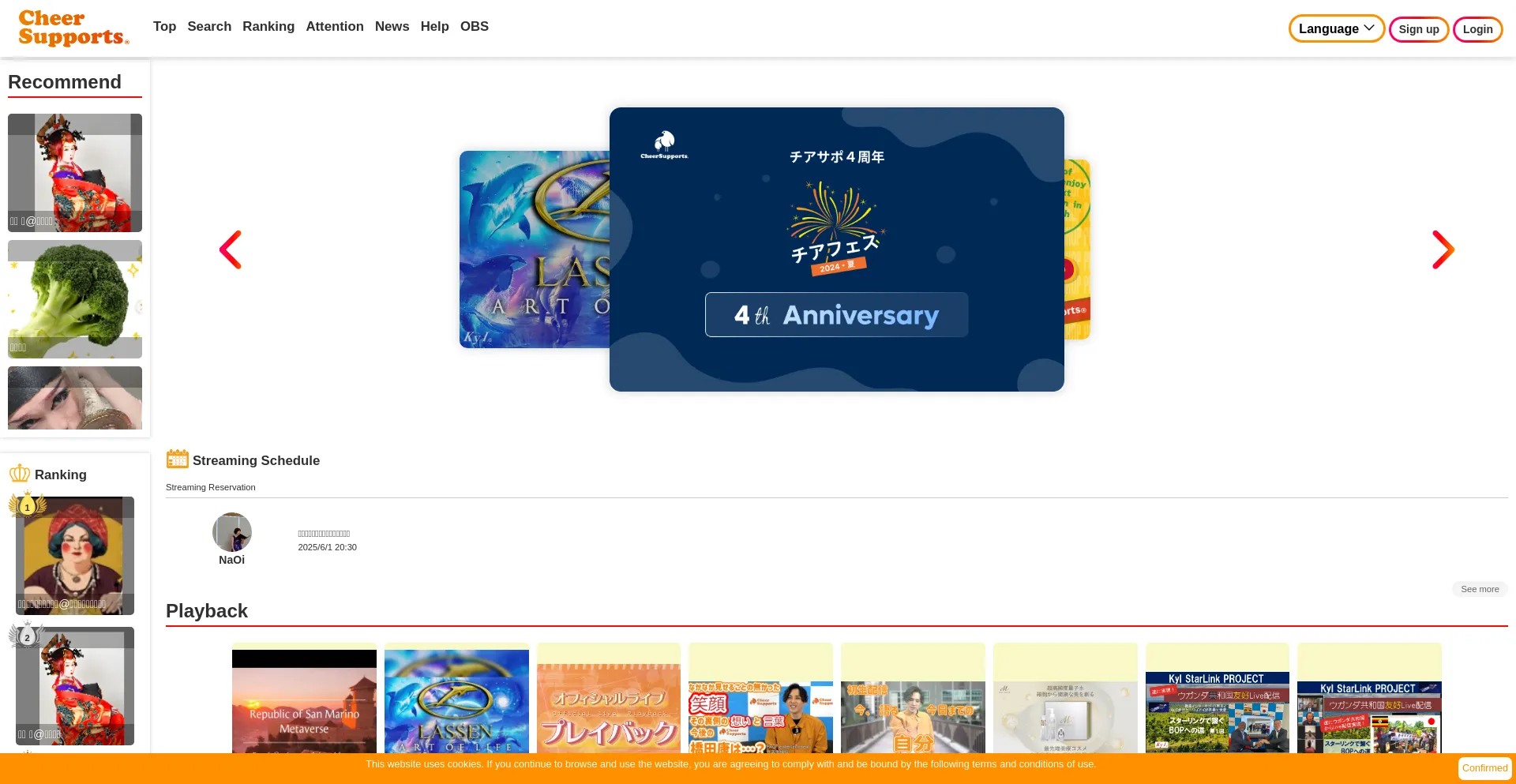 Website screenshot of Cheer-supports.com
